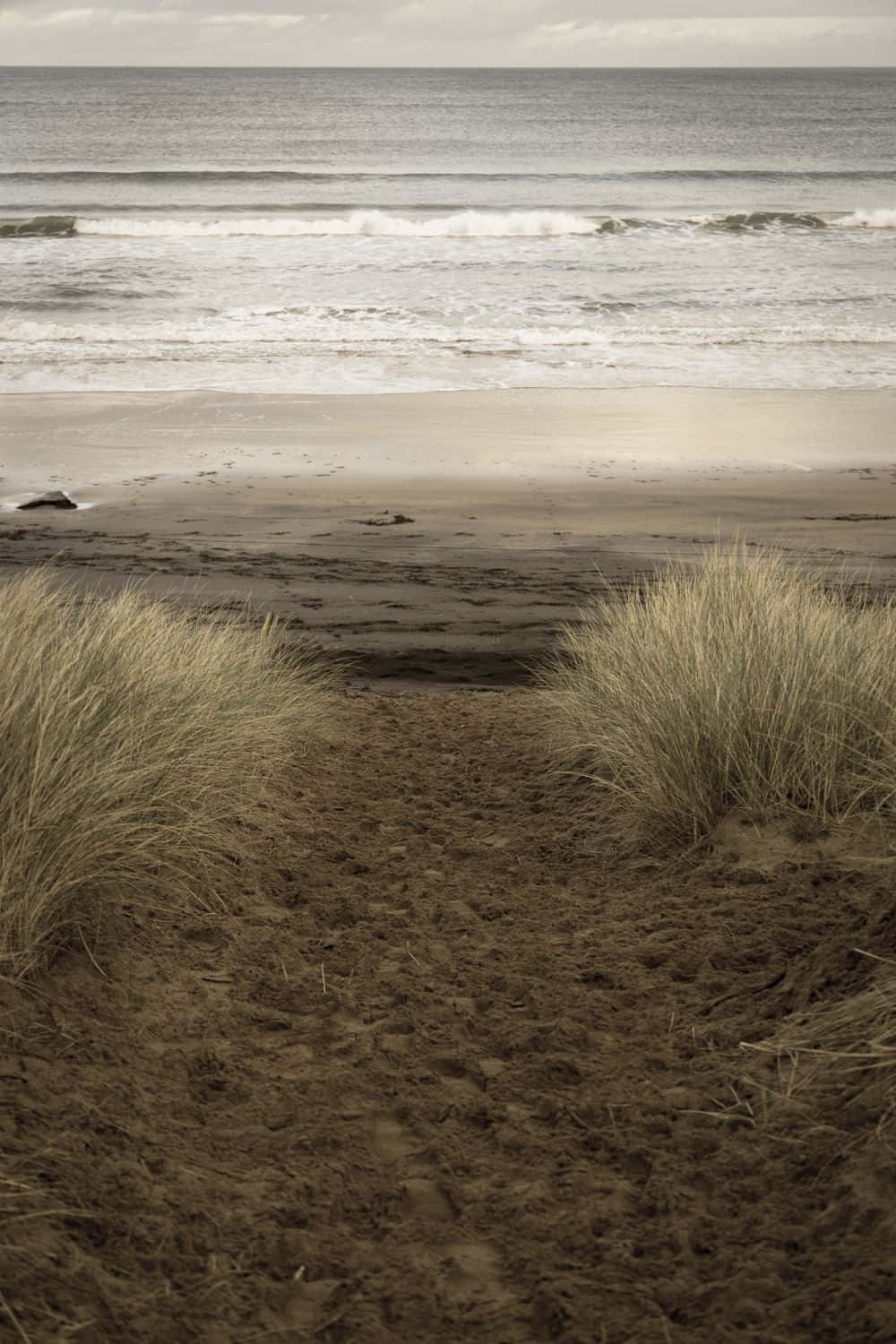 Winter Beach 桌布 壁紙 — 一條被高草夾道的沙質小徑通向海洋，在陰天之下，溫柔的海浪拍打著海岸。