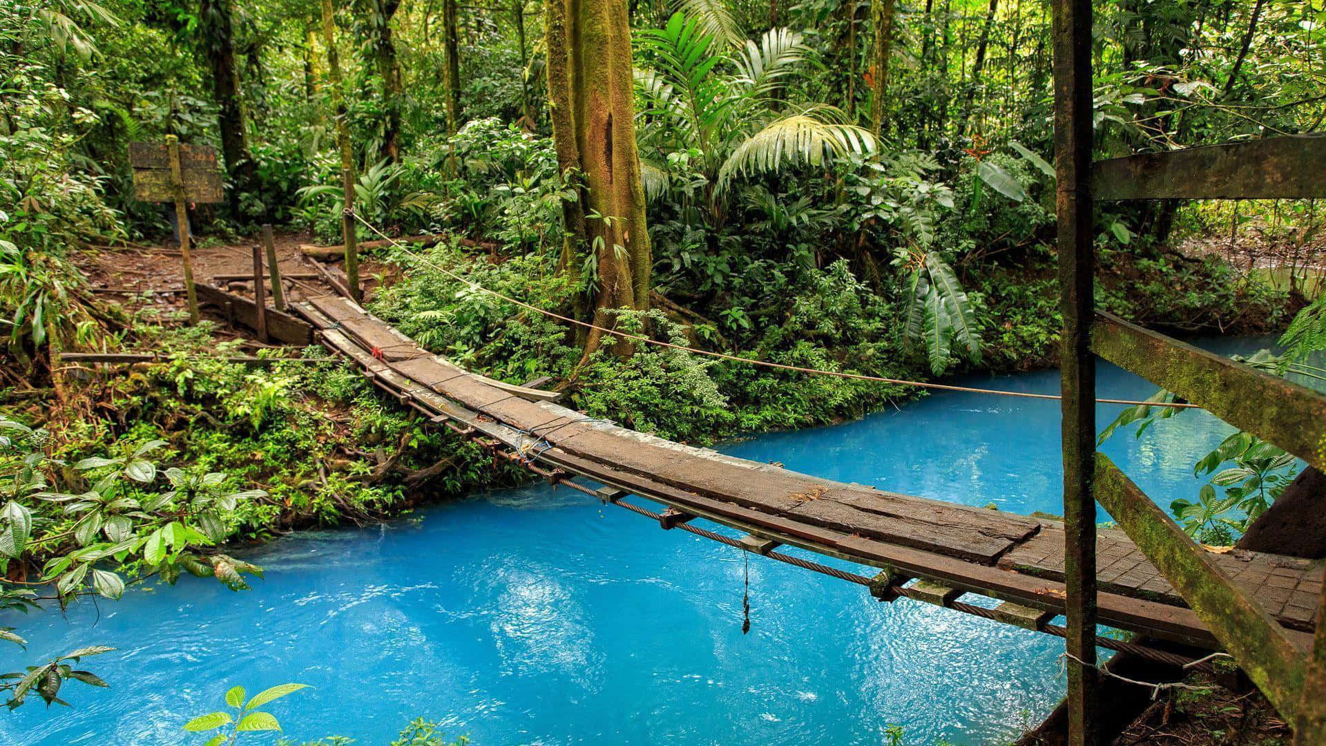 Costa Rica 桌布 壁紙 — 一條質樸的木製吊橋橫跨在鬱鬱蔥蔥的叢林中一條充滿活力的綠松石色河流上。