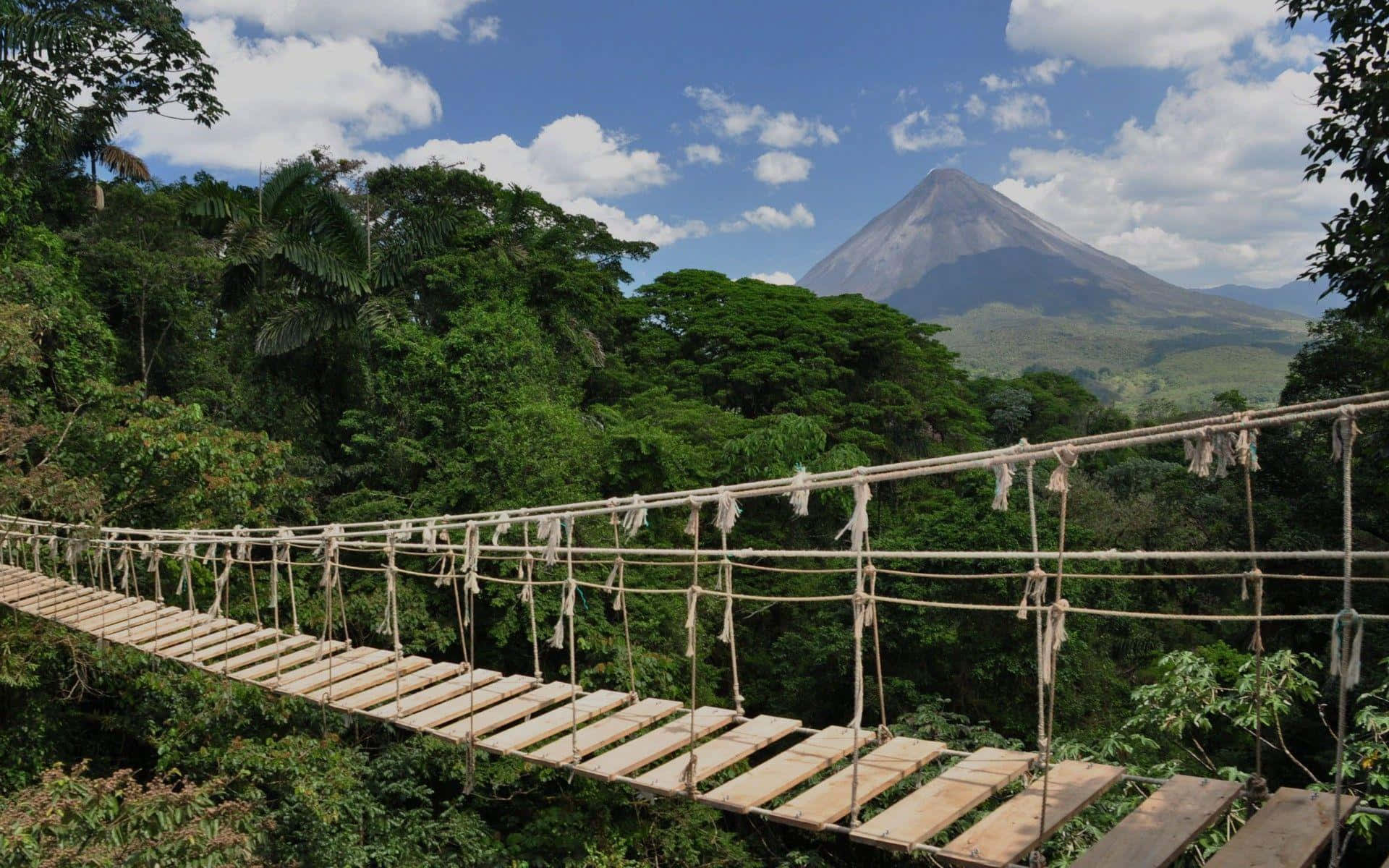 Costa Rica 桌布 壁紙 — 一條質樸的繩橋橫跨在茂密的綠色叢林之上，背景中雄偉的火山在明亮的藍天下聳立。