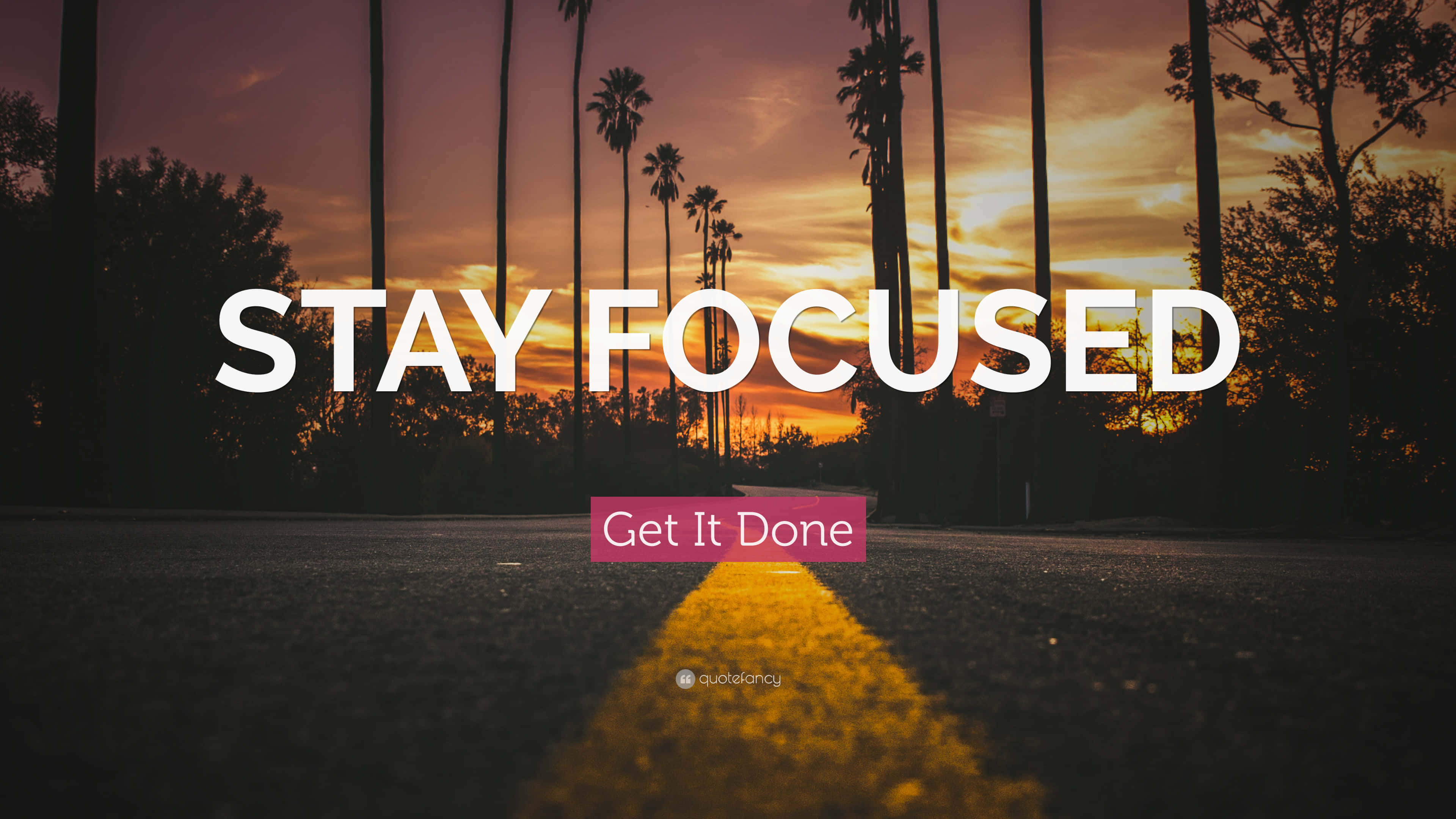 Focus 桌布 壁紙 — 一條道路伸向被高大棕櫚樹環繞的鮮豔日落，上面覆蓋著粗體勵志文字。