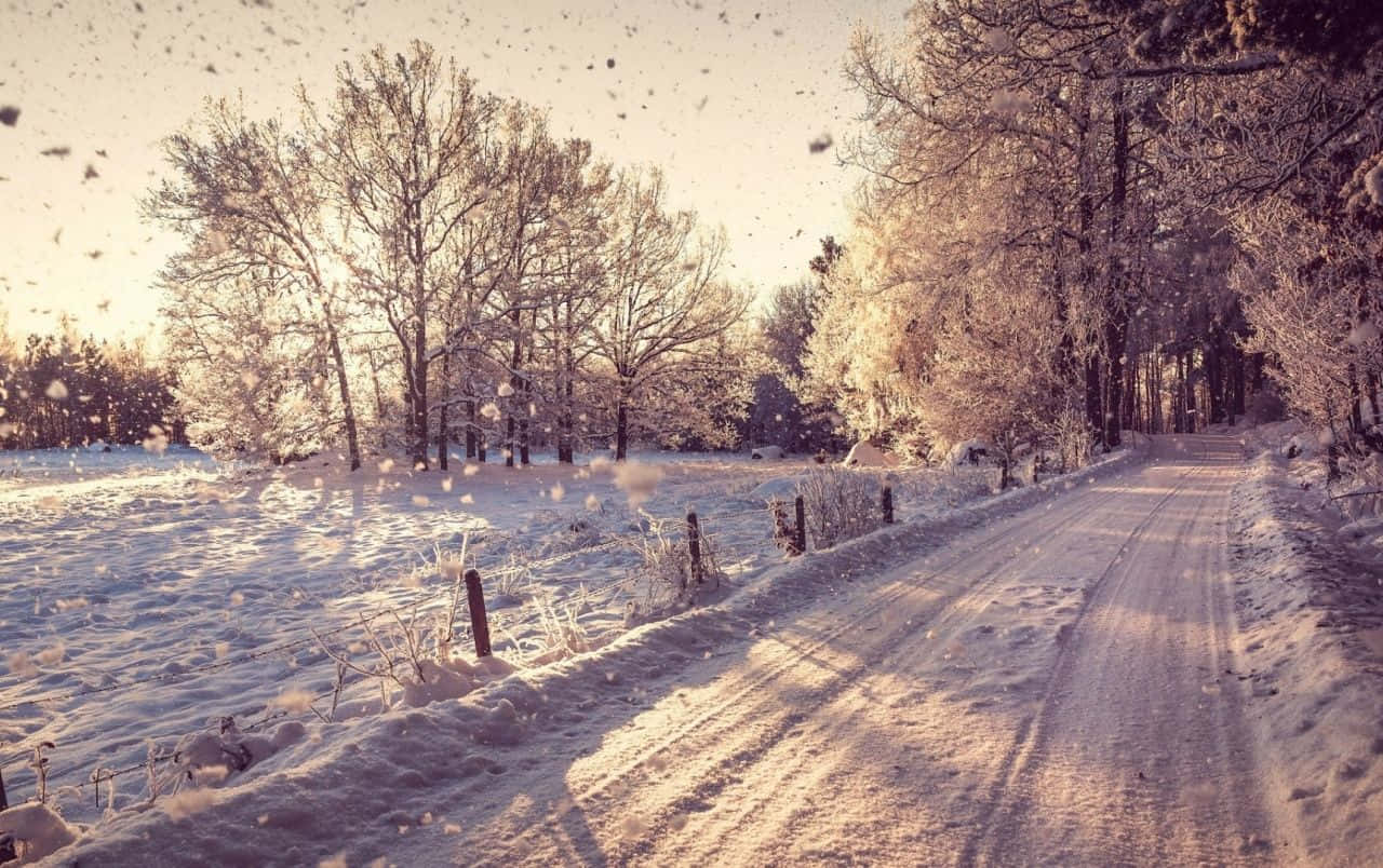 Icy Road 桌布 壁紙 — 一條鋪滿白雪的鄉村小路蜿蜒穿過霜凍的森林，伴隨著金色的夕陽和飄落的雪花。