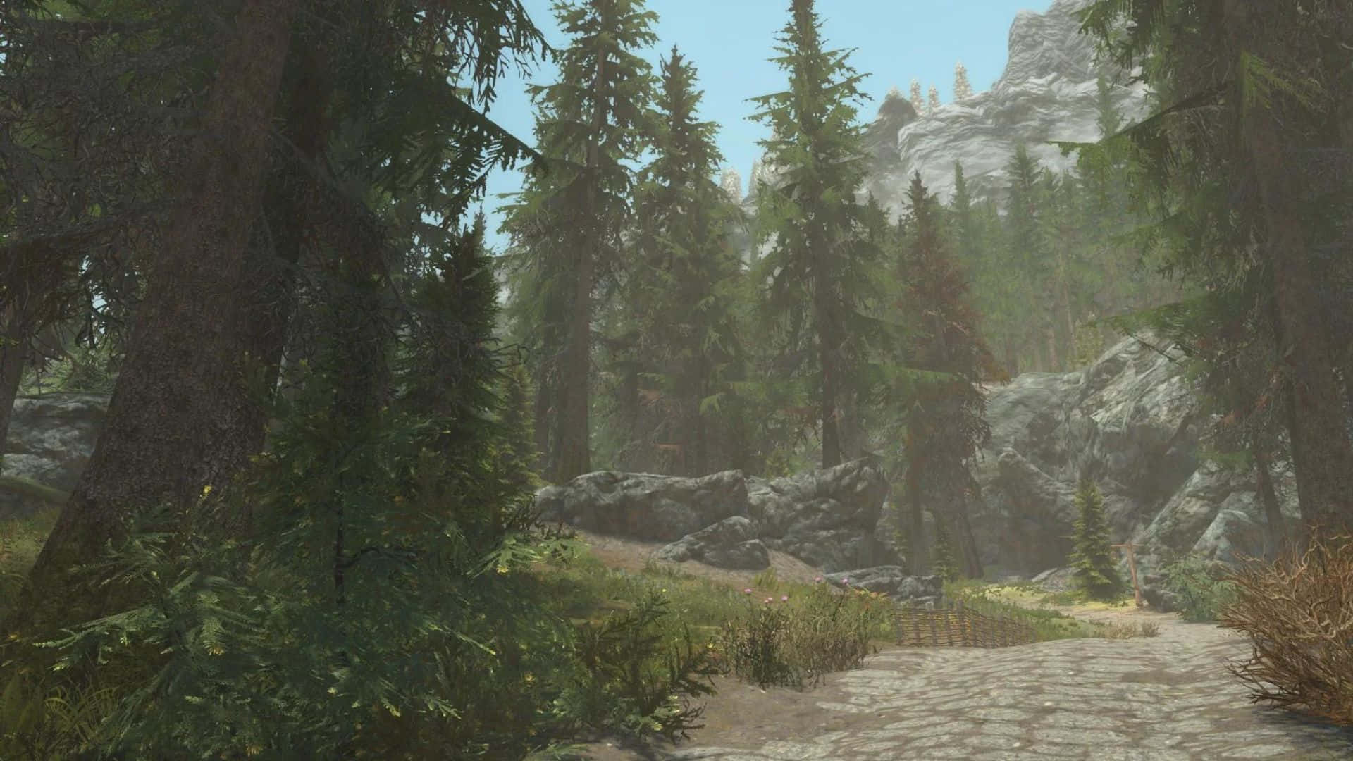 Skyrim Falkreath 桌布 壁紙 — 一條陽光明媚的森林小徑蜿蜒穿過高大的松樹和長滿苔蘚的岩石，通往晴朗藍天下遠方的山脈。