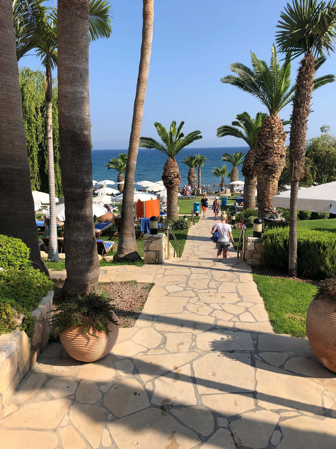Mediterranean Beach 桌布 壁紙 — 一條陽光明媚的石徑蜿蜒穿過棕櫚樹，通往一個充滿活力的海灘，那裡有碧綠的海洋和白色遮陽傘下的躺椅。