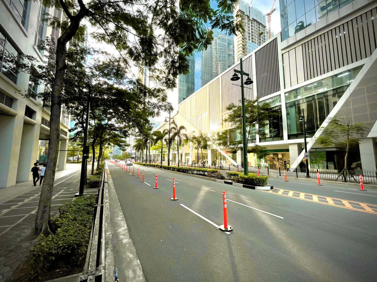 Street 桌布 壁紙 — 一條陽光普照的城市街道，兩旁是現代玻璃建築和棕櫚樹，設有橙色交通錐和行人路。