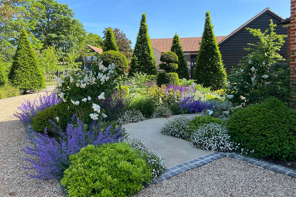 Garden Design 桌布 壁紙 — 一條陽光普照的花園小徑蜿蜒穿過充滿活力的紫色薰衣草和白色花朵，兩旁是修剪整齊的樹籬和高大的針葉樹。