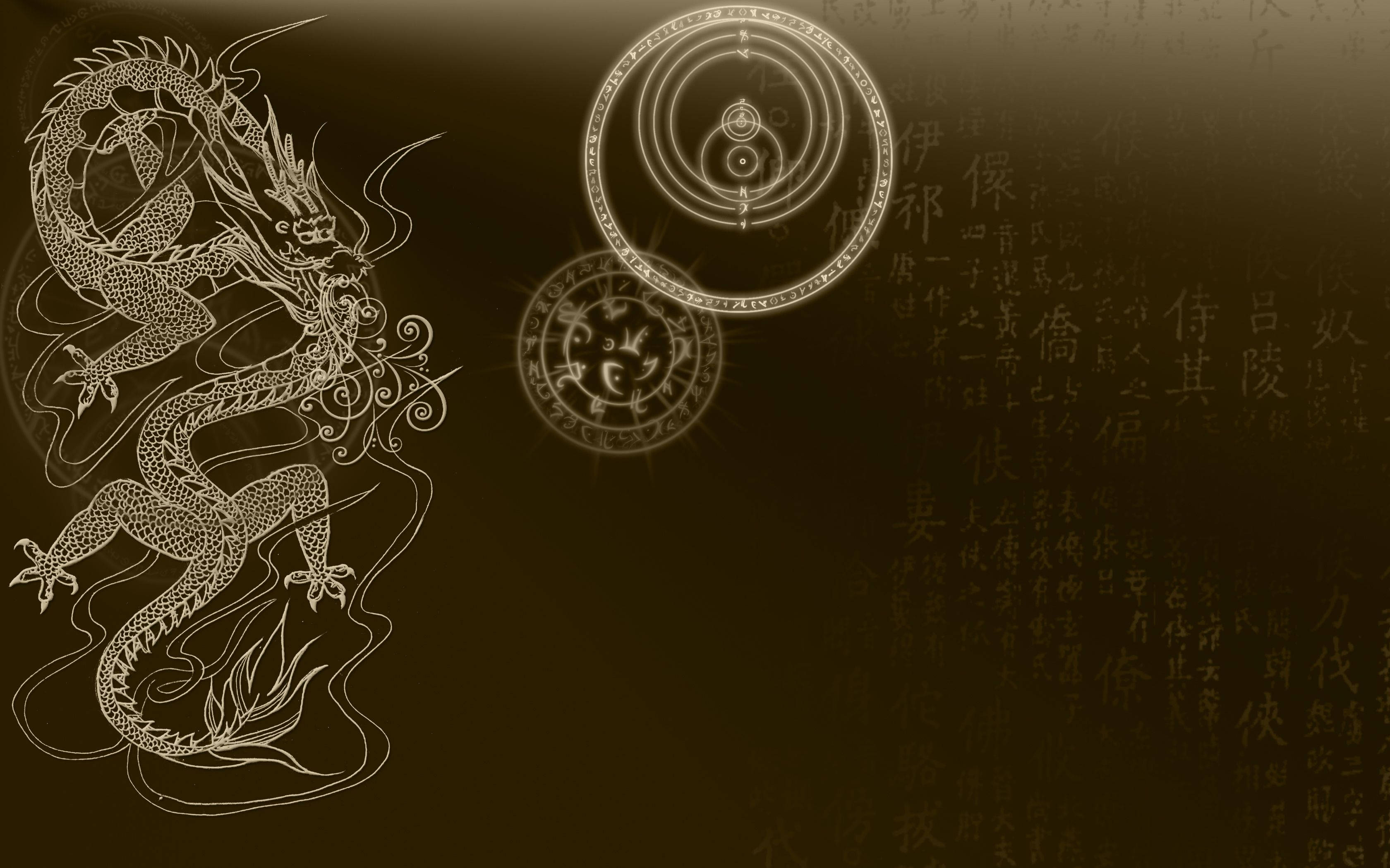Japanese Dragon Pc 桌布 壁紙 — 一條雄偉的白色線條龍在深棕色背景上動態盤旋，背景飾有古代漢字和神秘的圓形符號。