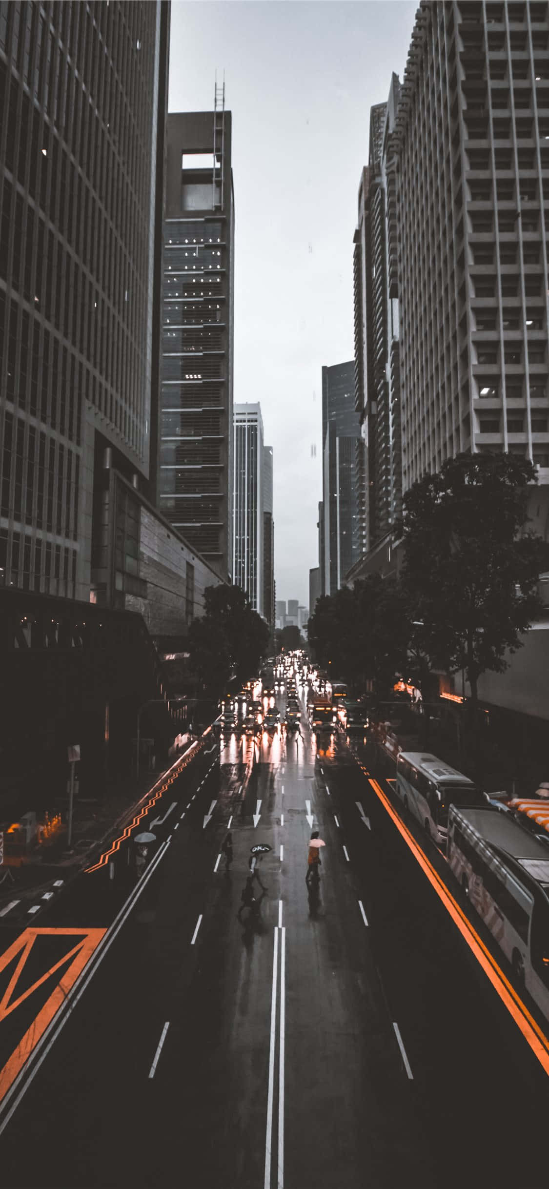People 桌布 壁紙 — 一條雨中的城市街道，兩旁是高聳的摩天大樓，濕漉漉的路面反射著城市的燈光，還有一個孤獨的騎單車者在車流中穿梭。