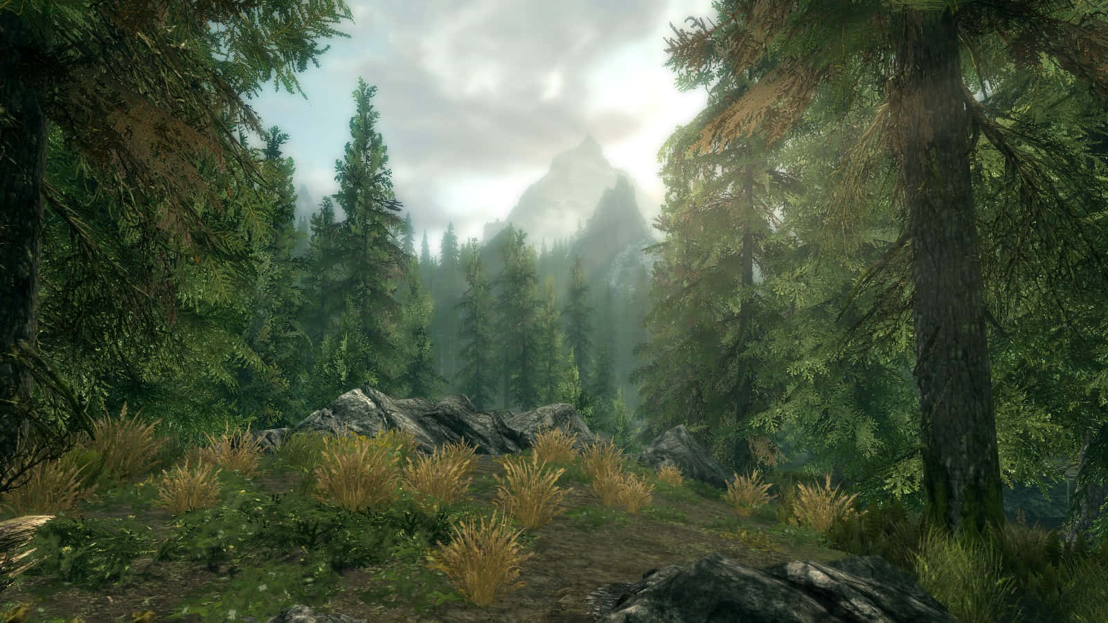 Skyrim Falkreath 桌布 壁紙 — 一條霧氣瀰漫的森林小徑蜿蜒穿過高聳的常青樹，通往雲霧繚繞的遙遠山峰。