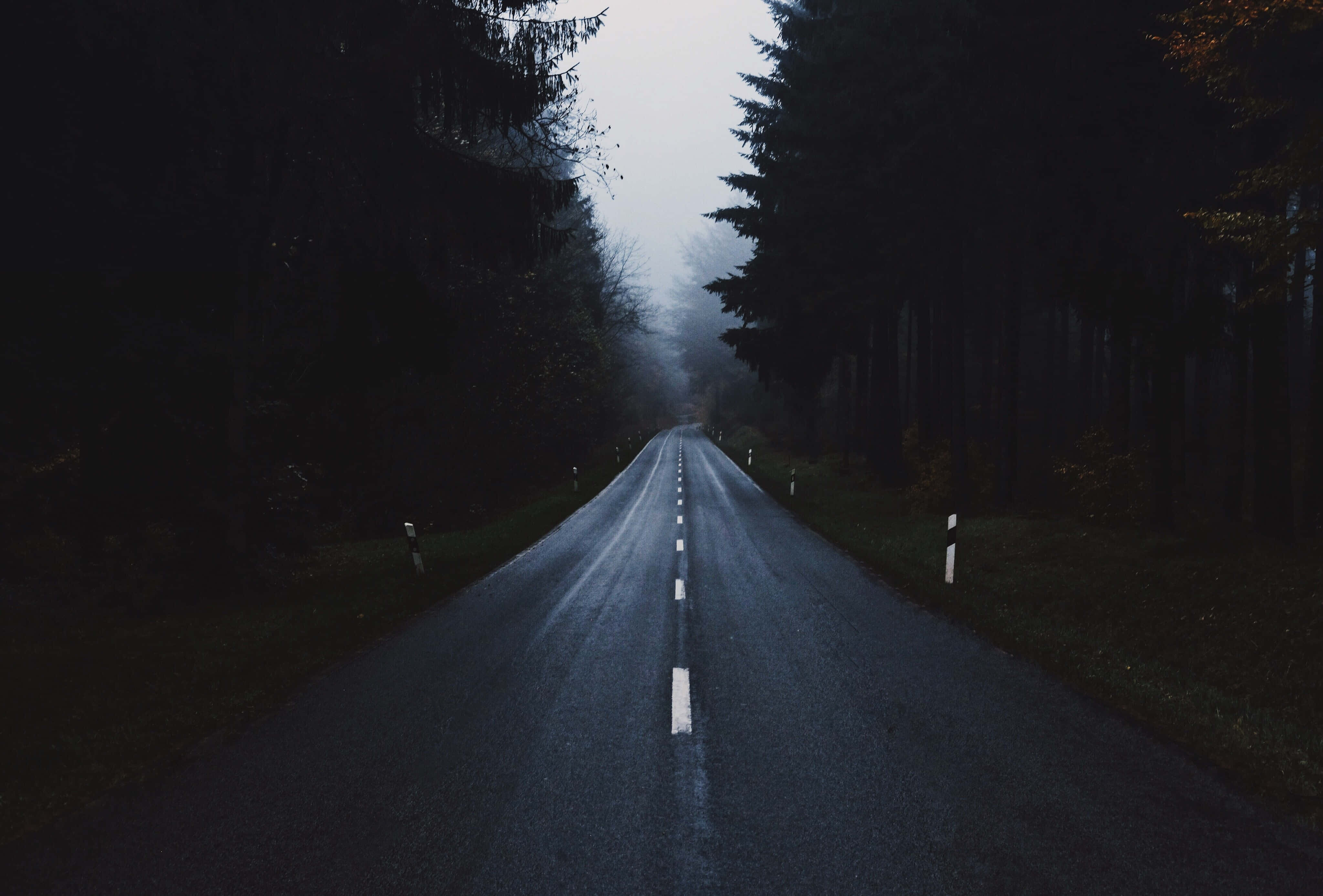 Twitter Header 桌布 壁紙 — 一條霧氣瀰漫的森林道路在灰色天空下延伸至遠方，兩旁是高聳的暗色樹木。