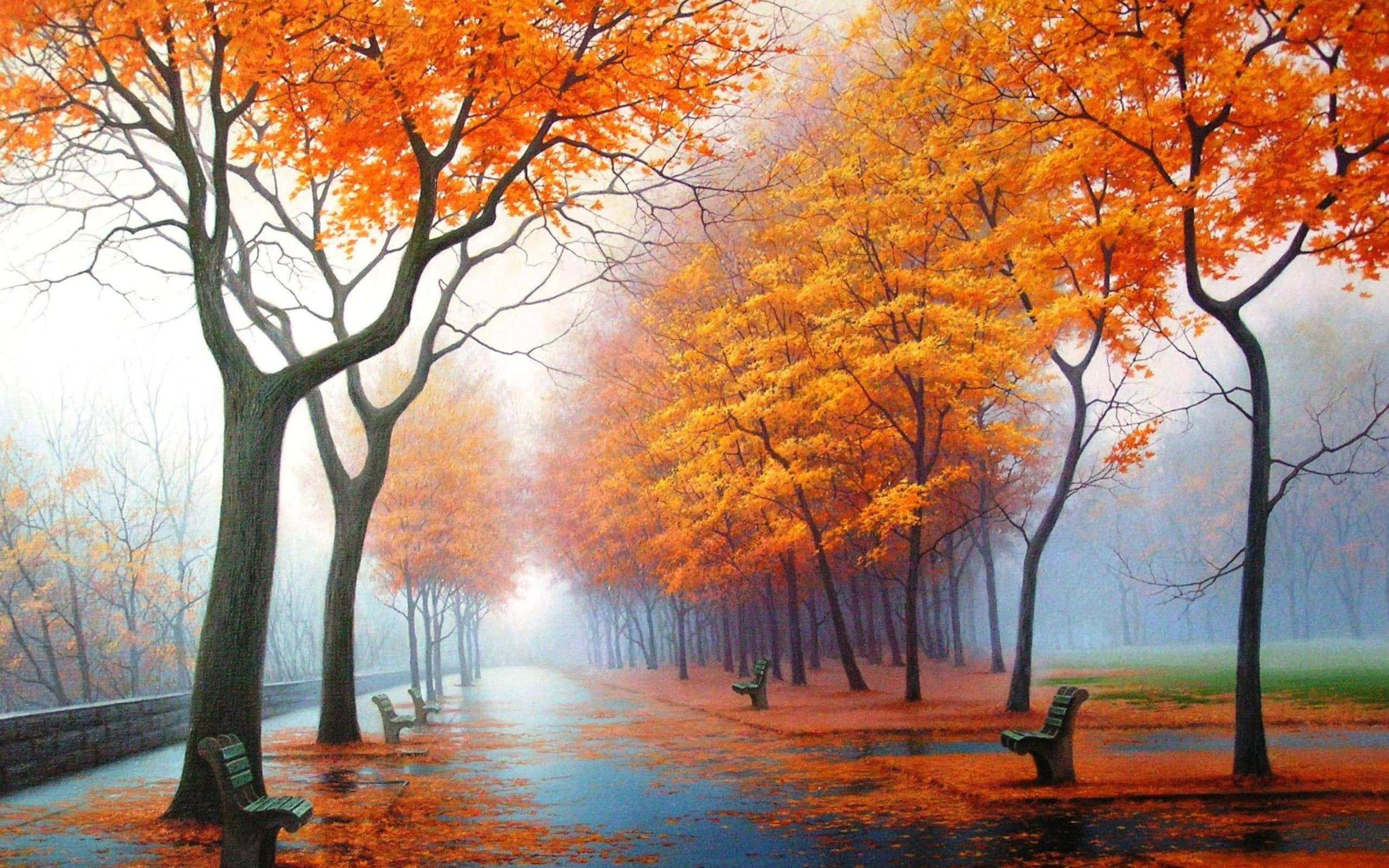 Fall Mist 桌布 壁紙 — 一條霧氣瀰漫的秋季公園小徑，兩旁種滿火紅的橙色樹木和長椅，在柔和晨光下倒映在濕潤的地面上。