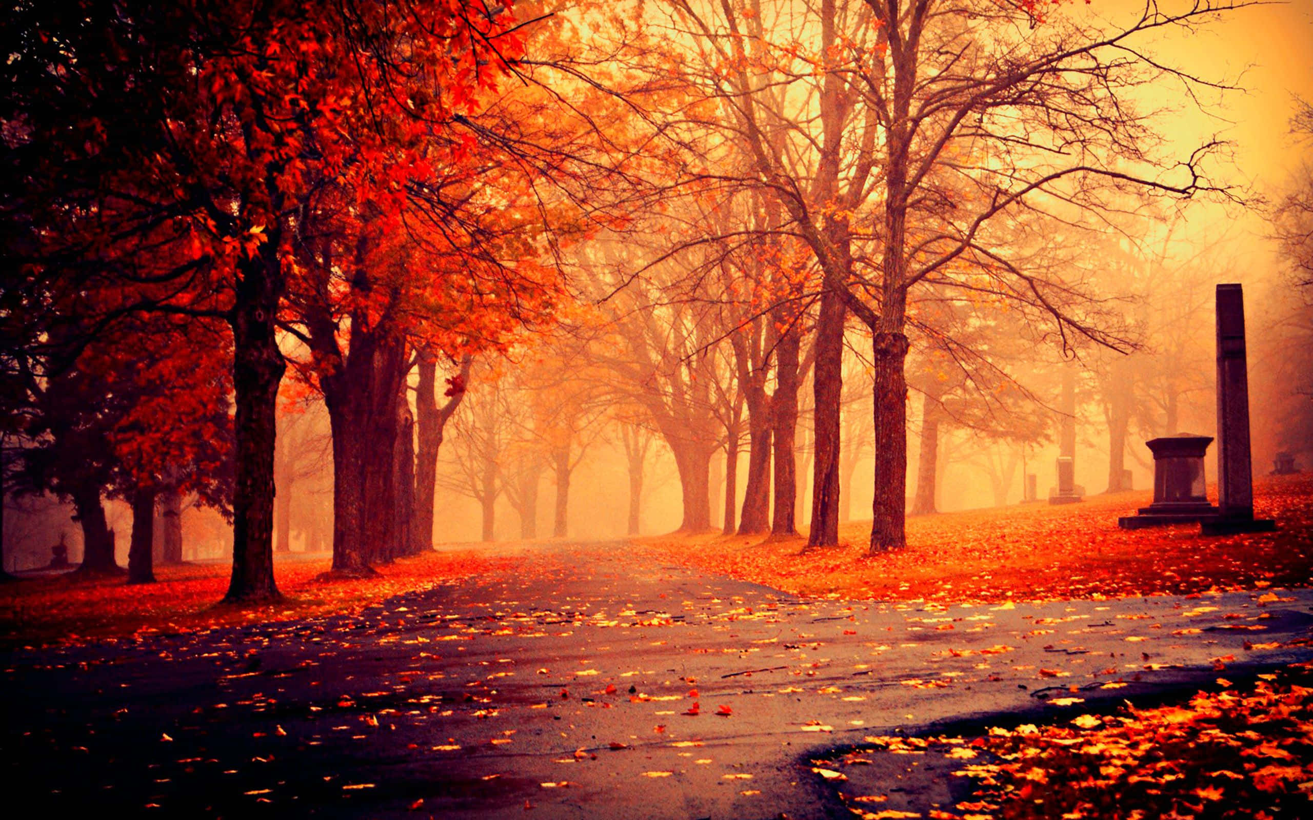 Best Autumn 桌布 壁紙 — 一條霧氣瀰漫的秋日小徑，兩旁是火紅的樹木和散落的樹葉，通往一個有石墓碑的墓地。