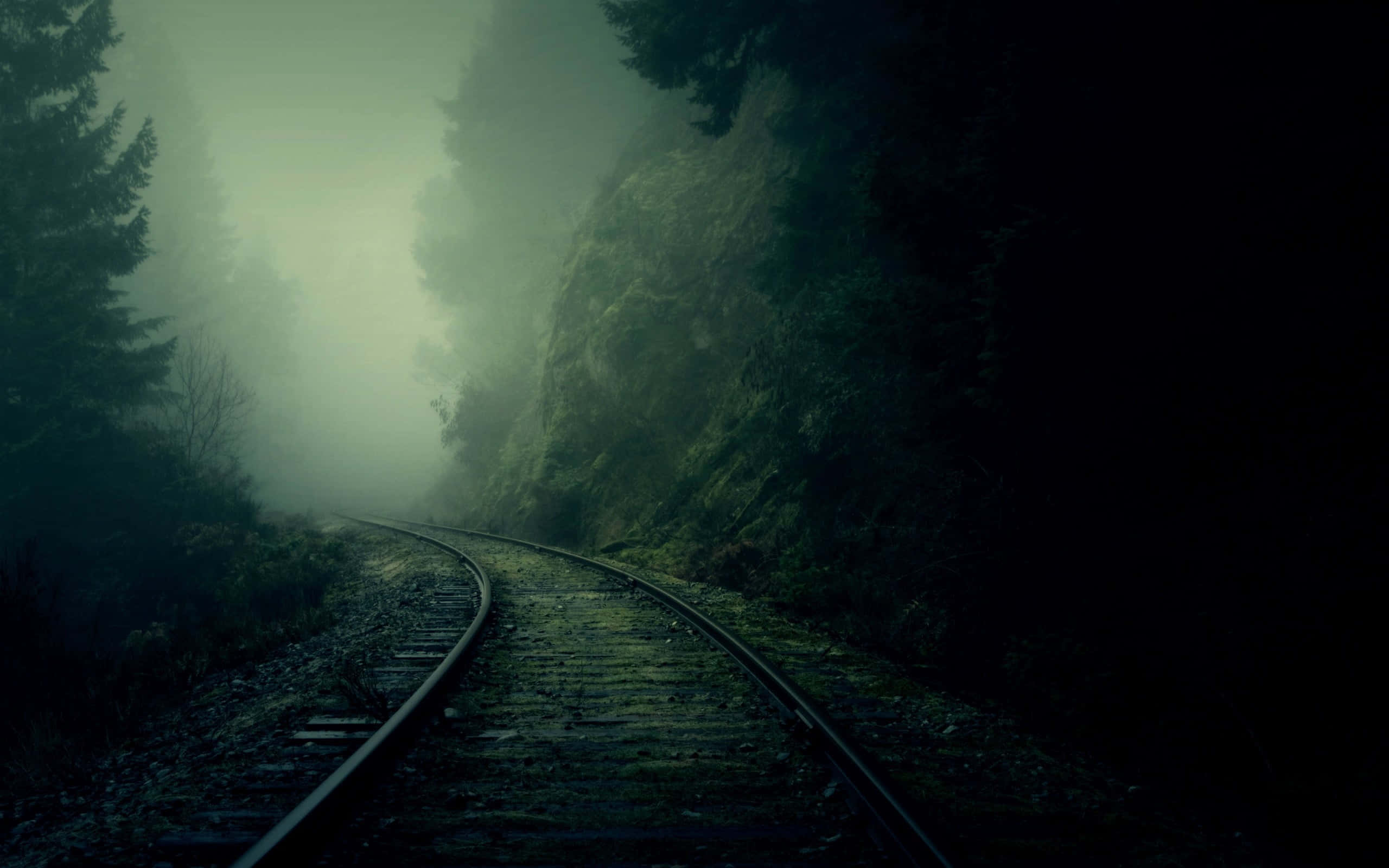 Dark Road 桌布 壁紙 — 一條霧氣瀰漫的鐵路軌道蜿蜒穿過陰暗的森林，周圍有長滿苔蘚的岩石和高聳的樹木，天空陰沉。