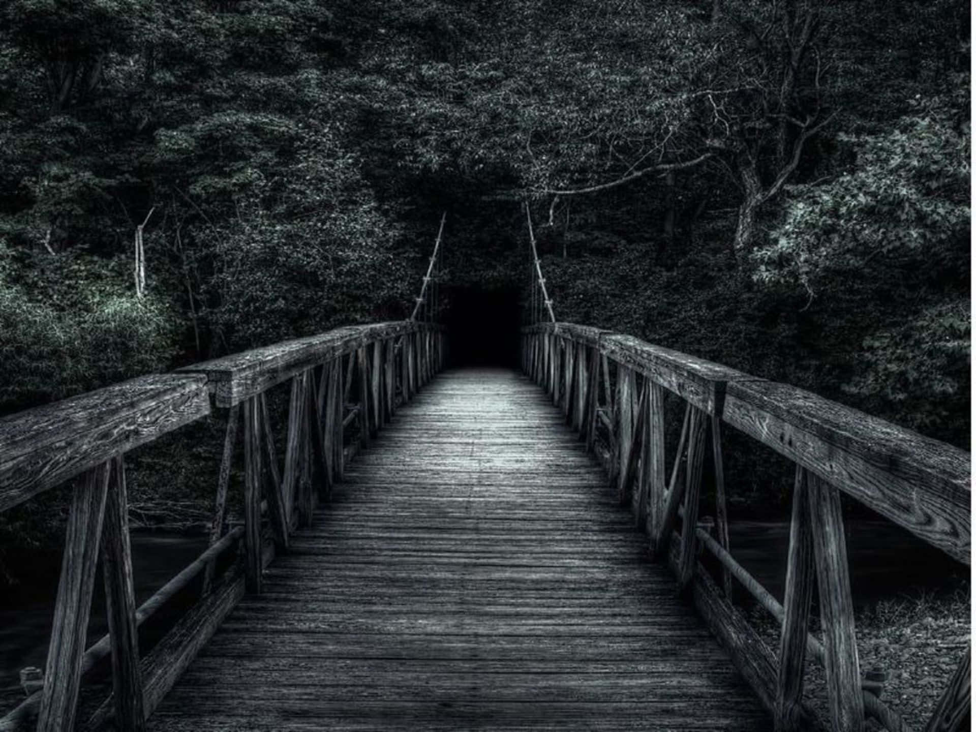 Dark Road 桌布 壁紙 — 一條風化的木橋延伸至茂密樹冠下的黑暗森林隧道。