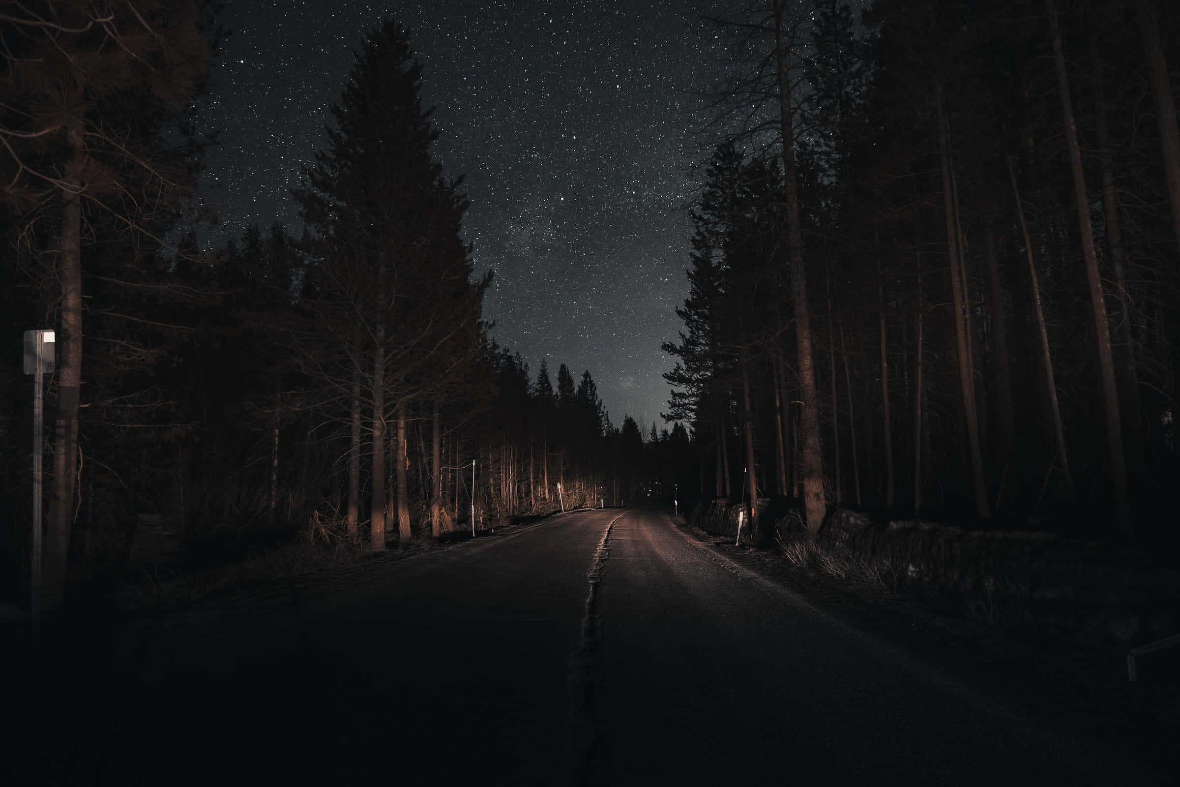 Dark Road 桌布 壁紙 — 一條黑暗的森林道路在繁星點點的夜空下延伸，兩旁高聳的樹木林立。