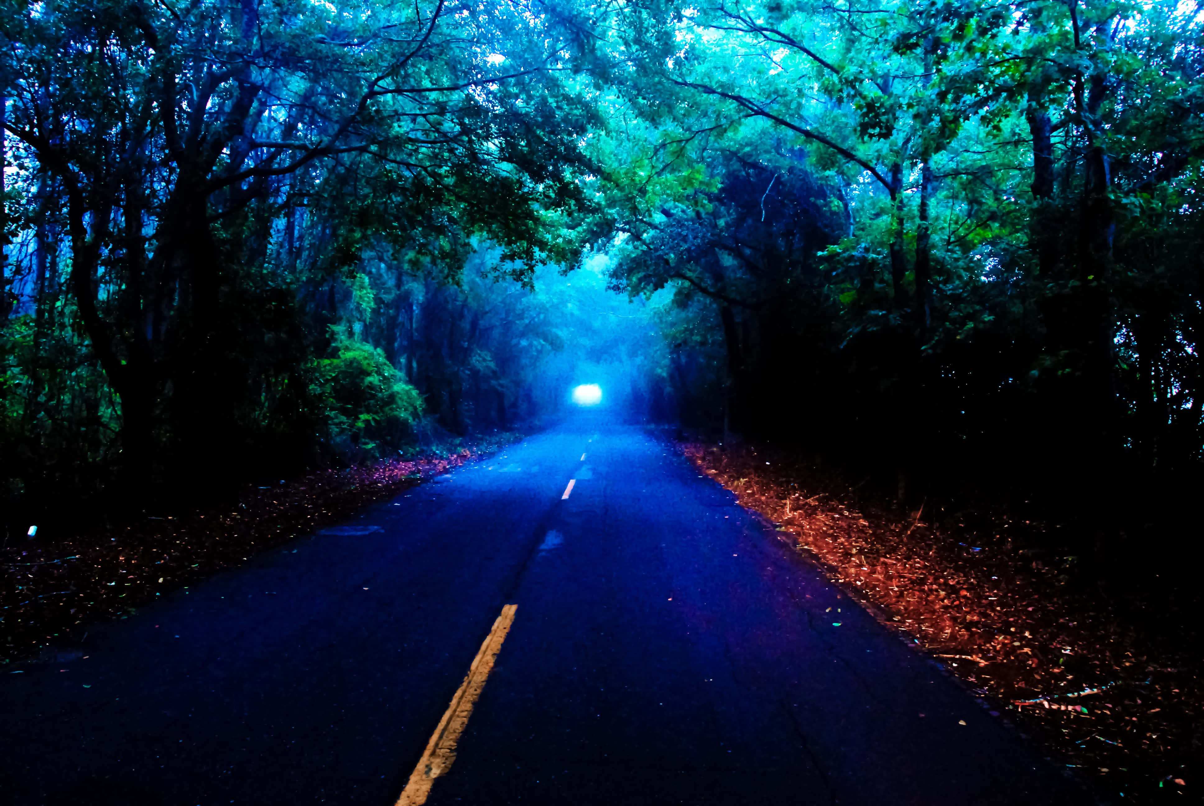 Autumn Evening 桌布 壁紙 — 一條黑暗的森林道路沐浴在詭異的藍光中，遠處有一輛發光的汽車。