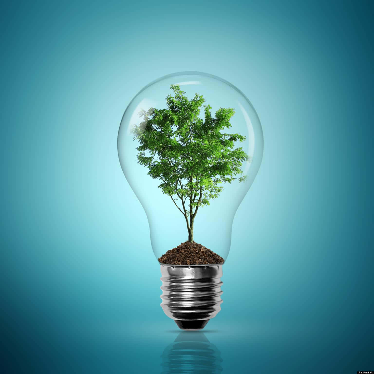 Green Technology 桌布 壁紙 — 一棵充滿活力的綠色樹木從透明燈泡內的土壤中生長，背景是柔和的藍色漸變。
