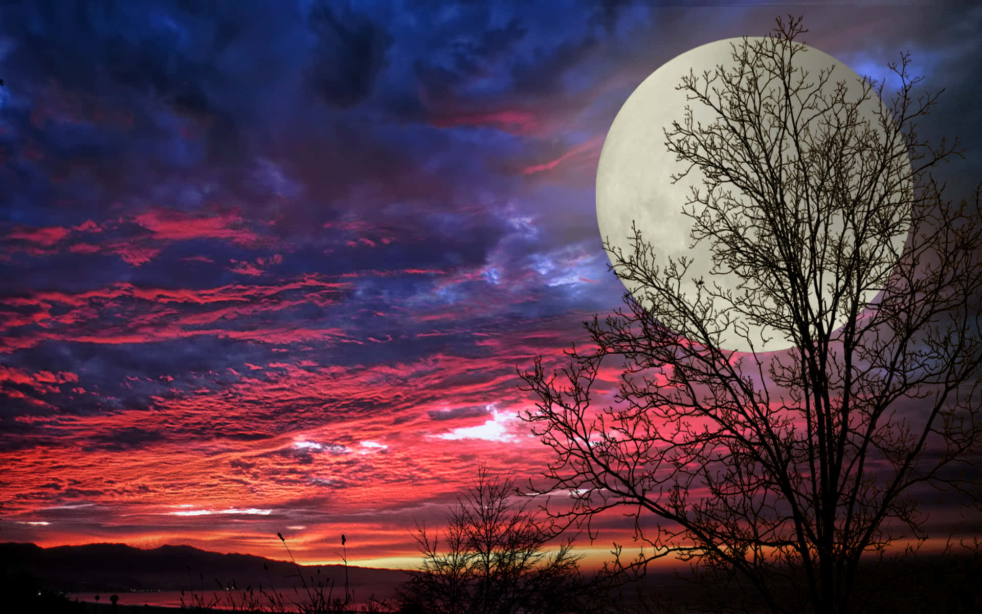 Beautiful Moon 桌布 壁紙 — 一棵光禿禿的樹，在戲劇性的暮色天空襯托下形成剪影，天空中有巨大的月亮和火紅紫色的雲彩。