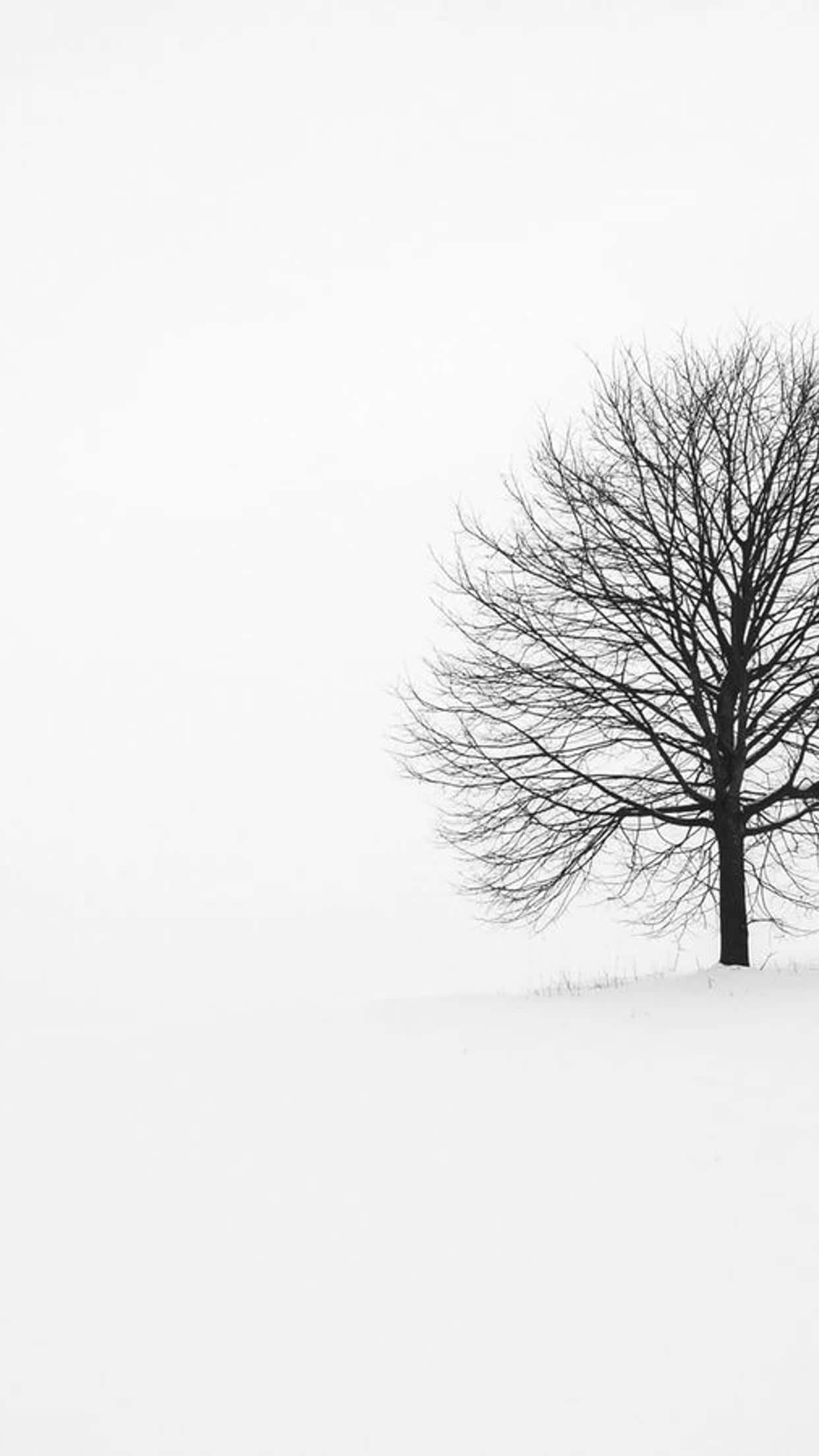 白色 iPhone 桌布 壁紙 — 一棵光禿禿的樹孤獨地矗立在白雪覆蓋的山丘上，天空是陰沉的冬日天空。