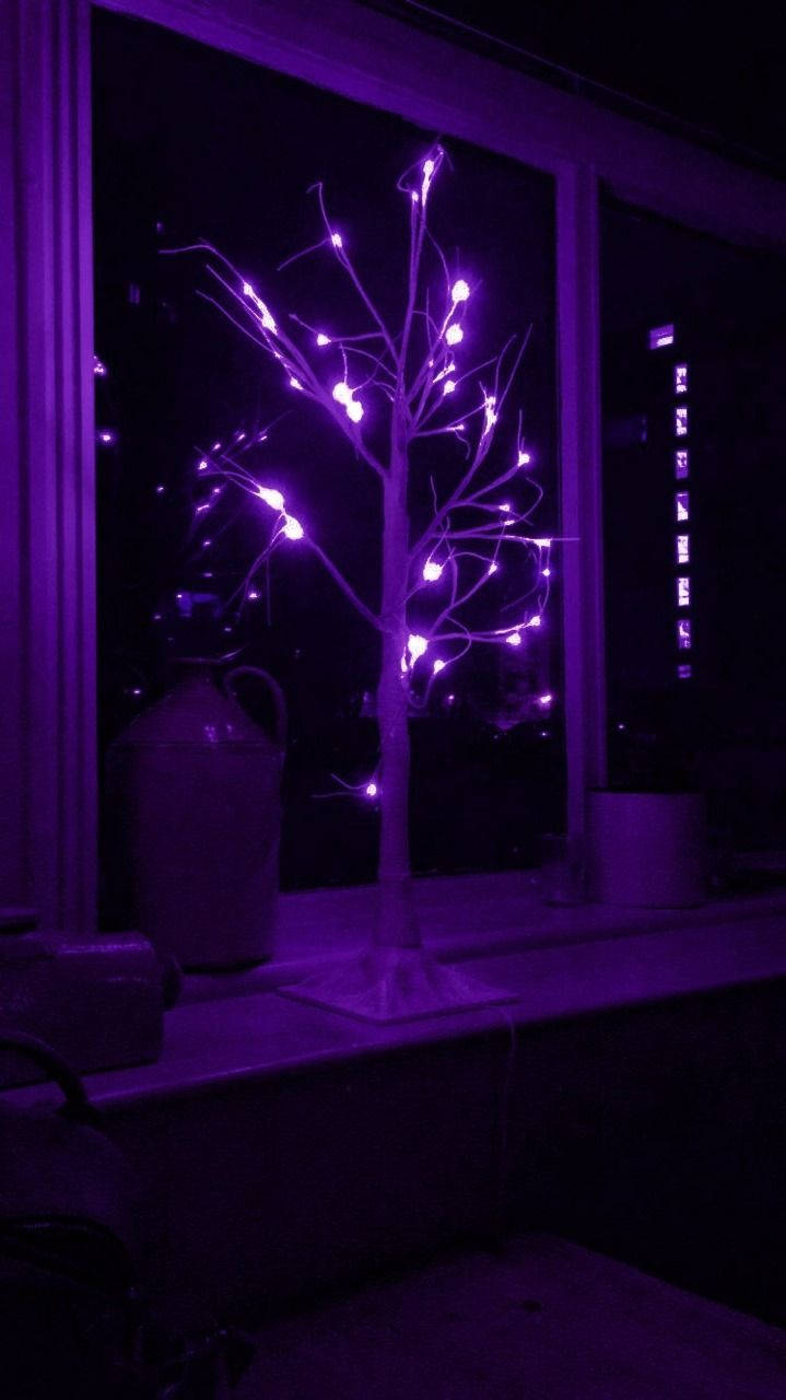夜間窗台上紫色發光的樹，室內 — 聖誕美學 GIF 壁紙