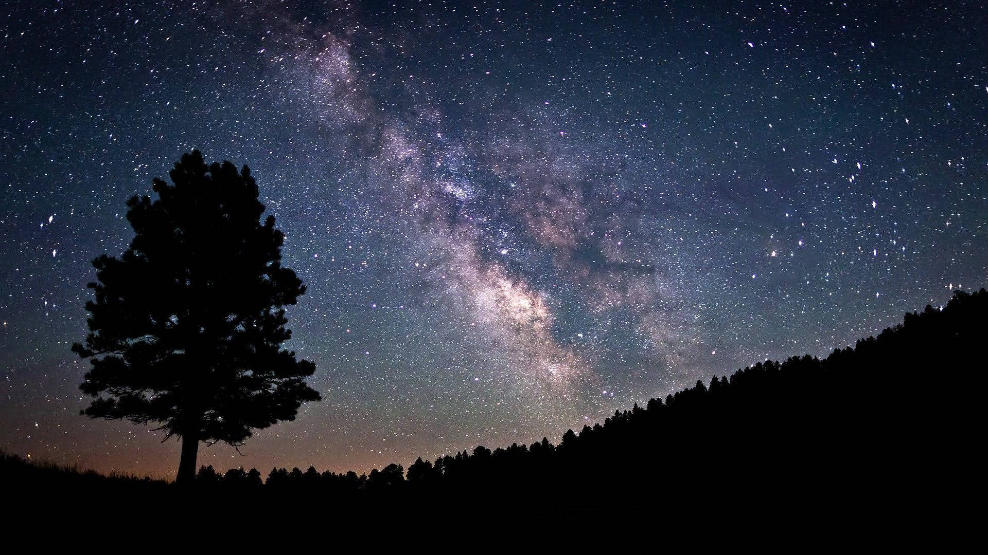 一棵孤樹映襯著滿天星斗的夜空，銀河清晰可見。