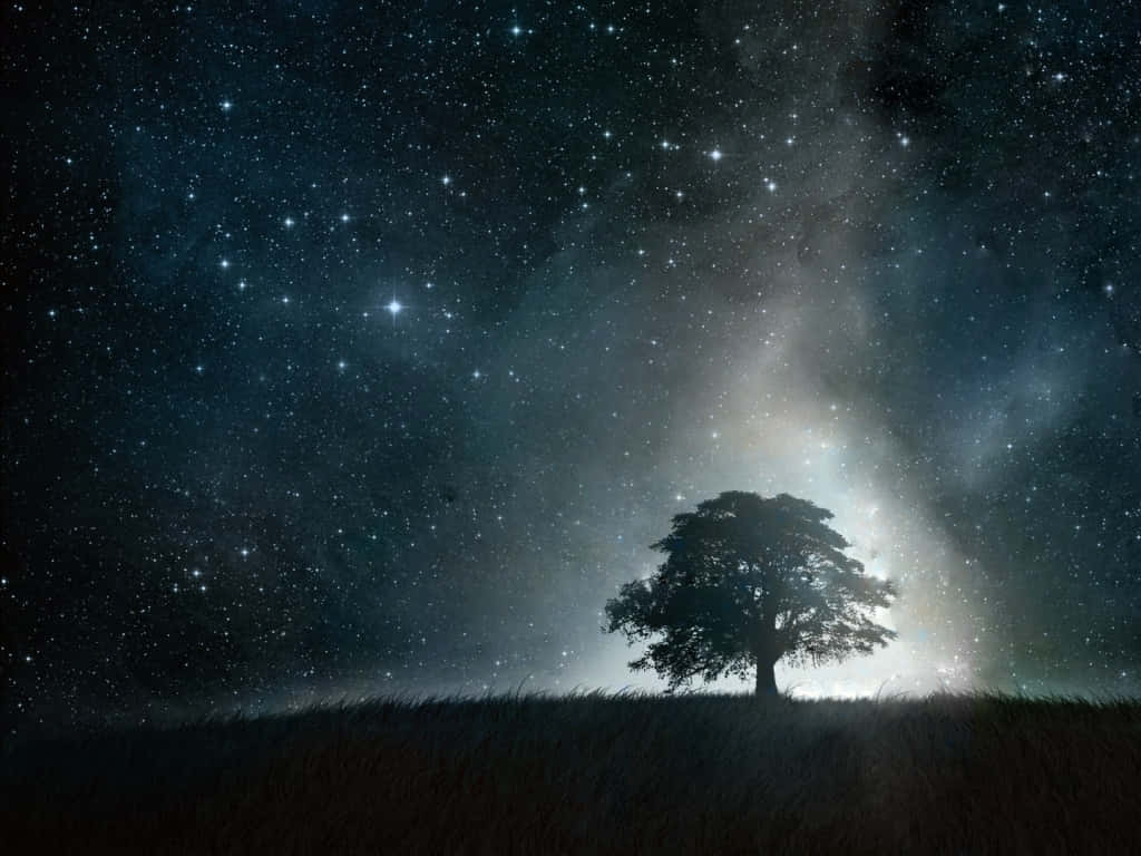 Beautiful Star 桌布 壁紙 — 一棵孤樹的剪影矗立在長滿草的山丘上，下方是廣闊的星空夜空，散發著宇宙的光芒。