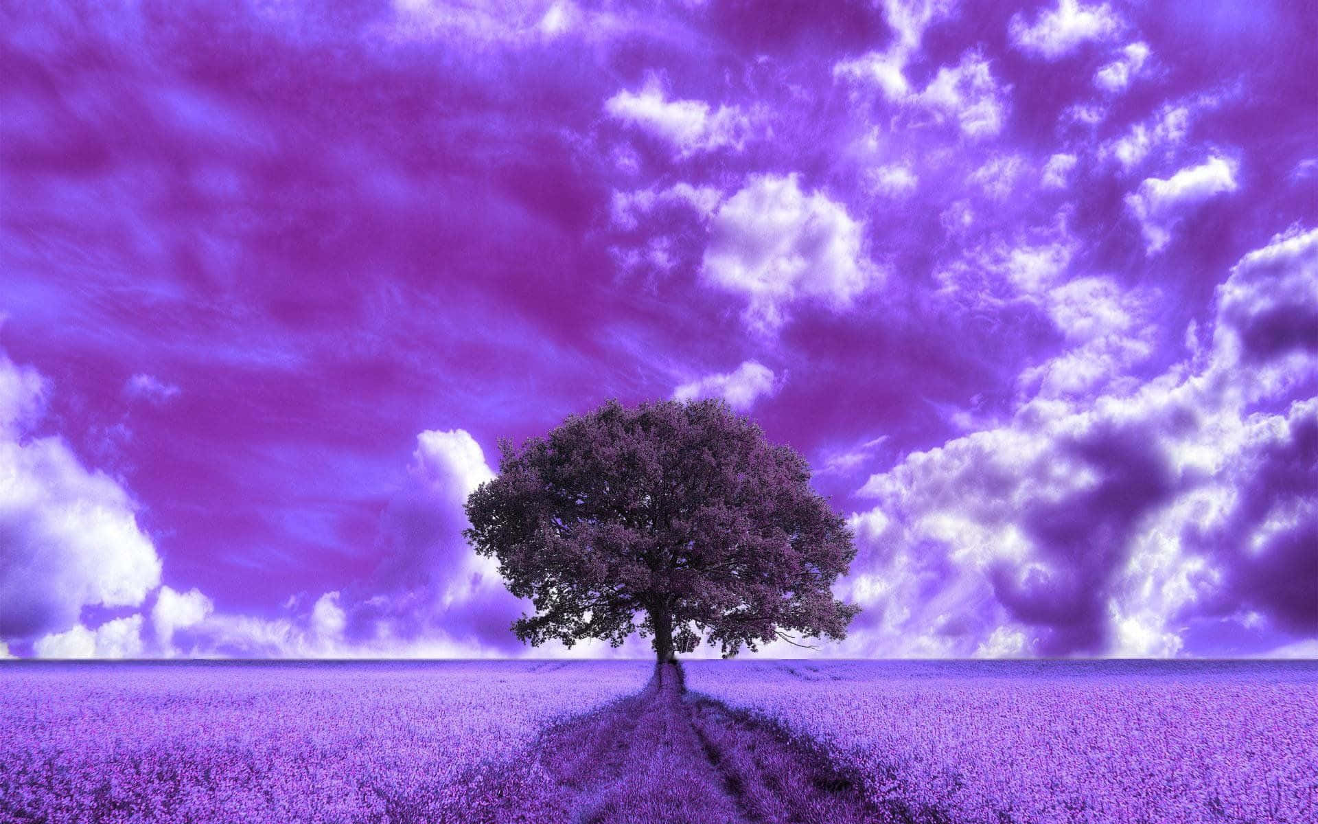 Purple Clouds 桌布 壁紙 — 一棵孤樹矗立在廣闊的紫色田野上，天空是戲劇性的紫羅蘭色，充滿了旋轉的雲彩。