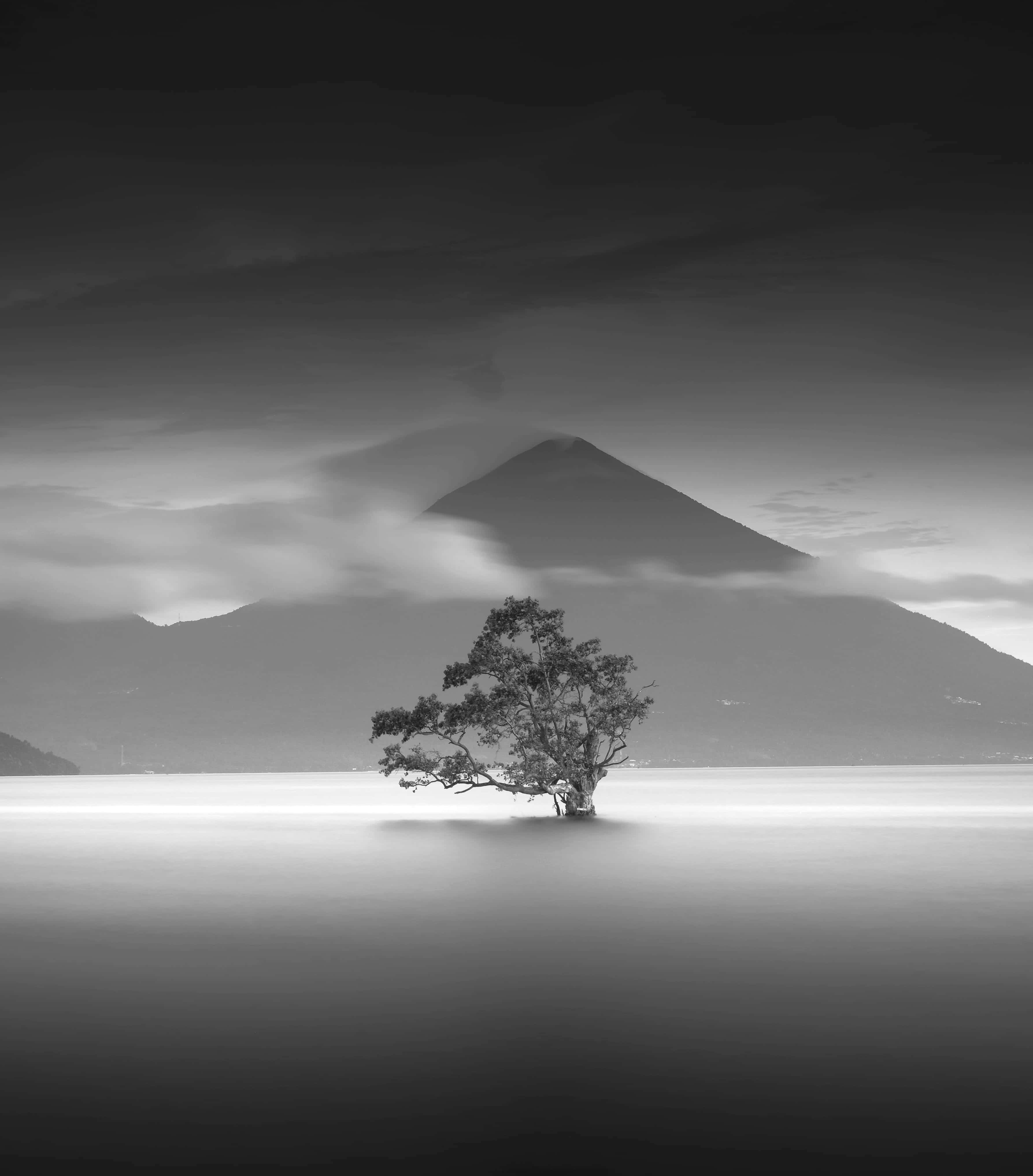 Black And White Tree 桌布 壁紙 — 一棵孤樹立於霧氣瀰漫的水中，背後有山峰在陰雲密布的天空下聳立。