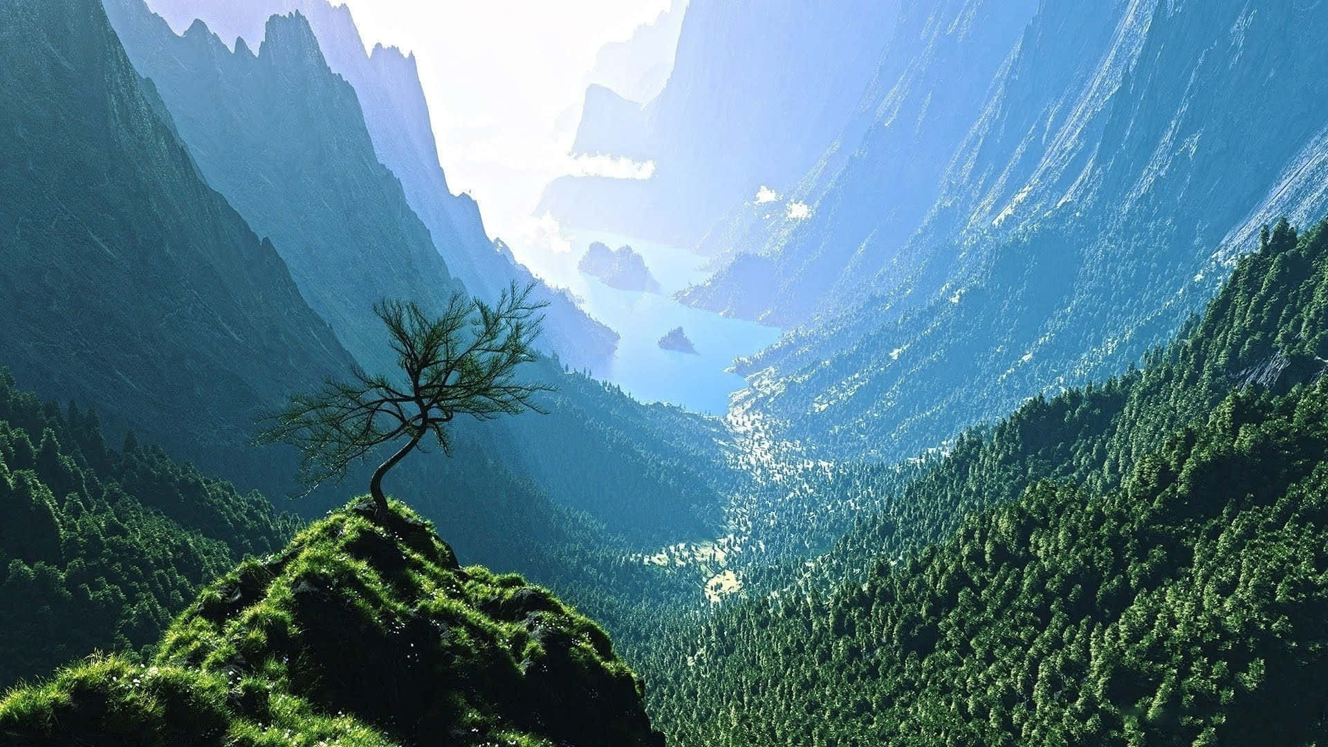 Relaxing Desktop 桌布 壁紙 — 一棵孤獨扭曲的樹矗立在長滿青草的懸崖上，俯瞰著深谷，谷中有蜿蜒的河流和巍峨的山脈，沐浴在柔和的晨光中。