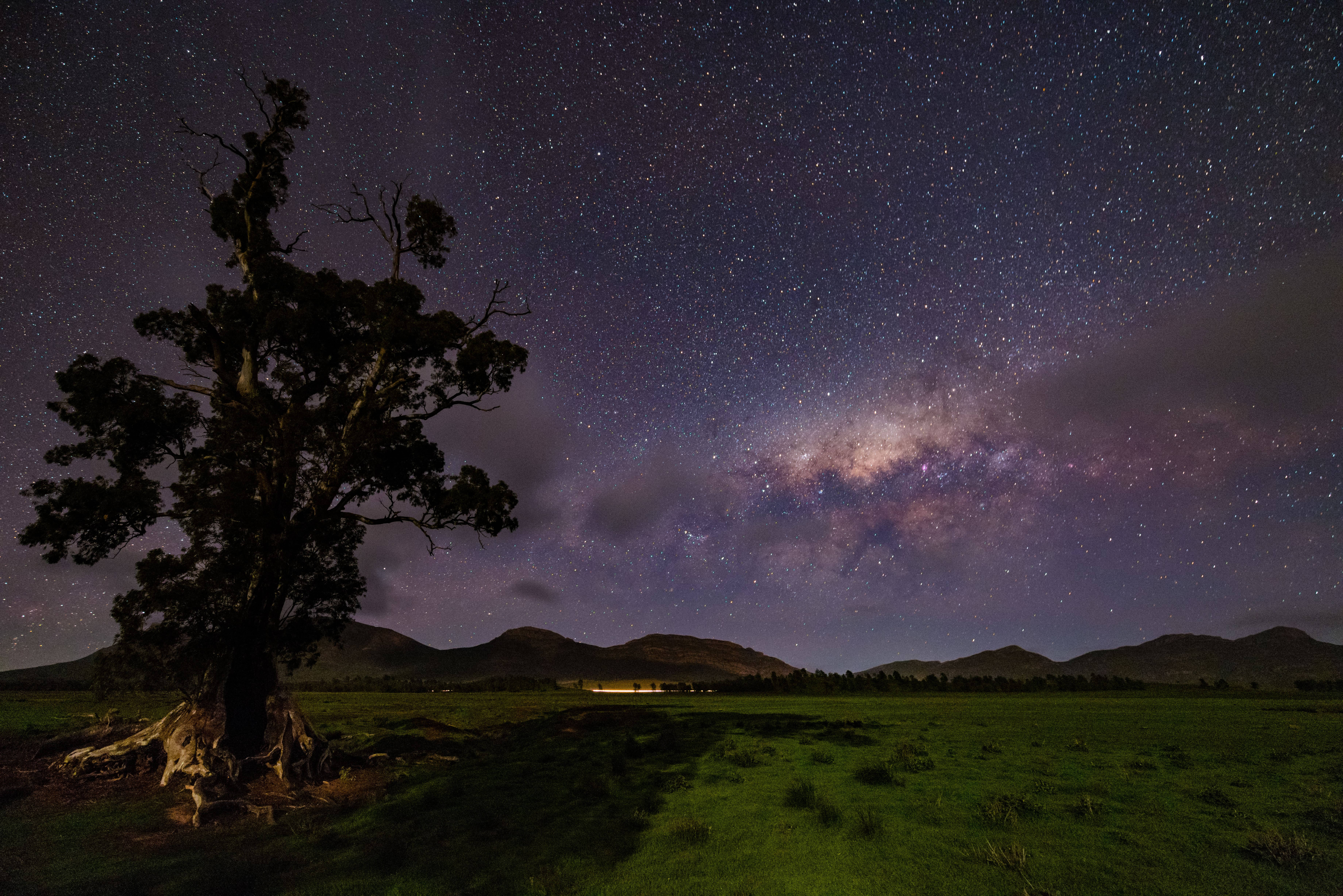 星空夜 桌布 壁紙 — 一棵孤獨的古樹矗立在草地上，星空下銀河在遠山之上閃耀。