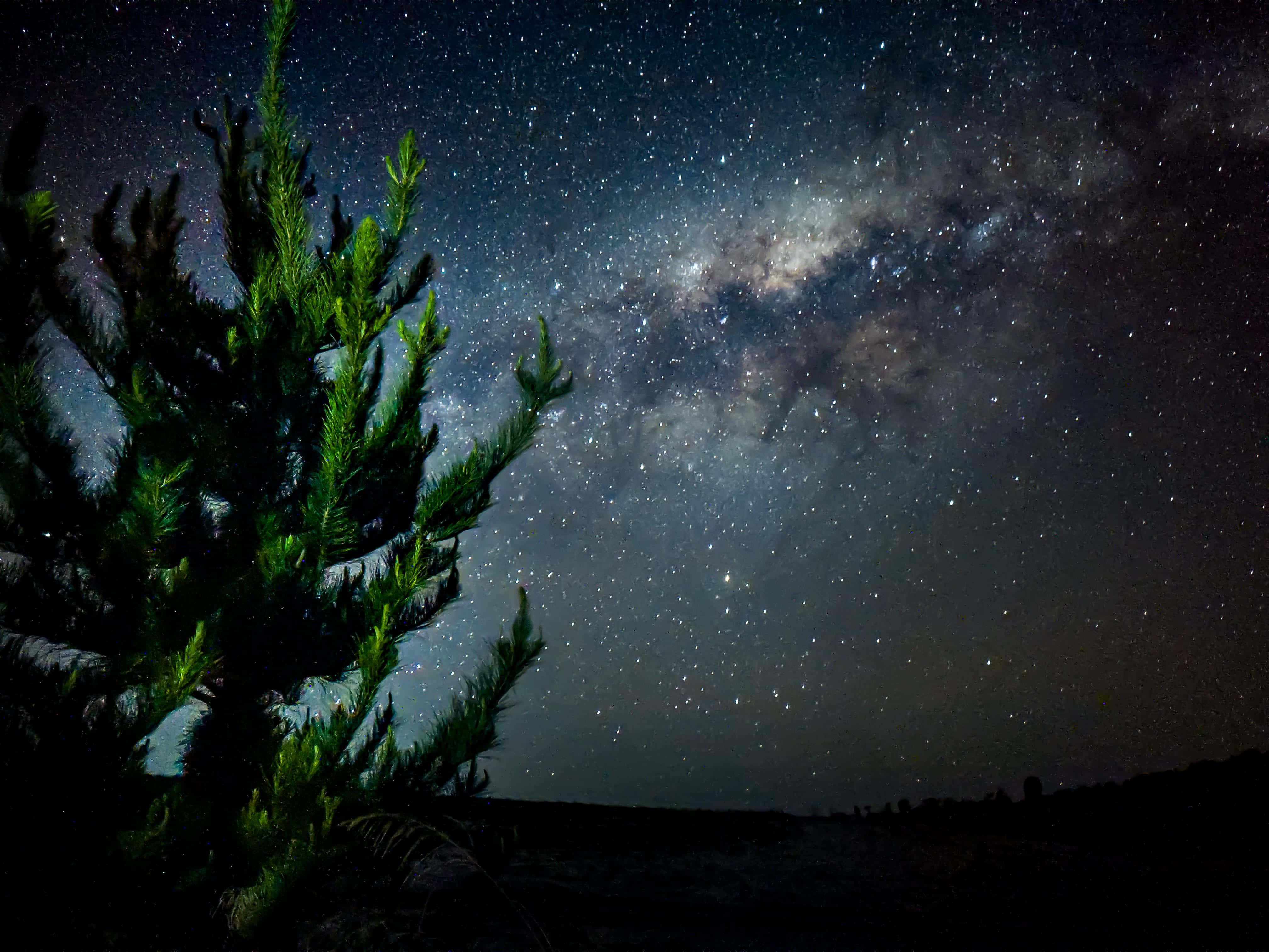 Night Mode 桌布 壁紙 — 一棵孤獨的松樹剪影在令人嘆為觀止的星空夜空下，銀河在上方閃耀。