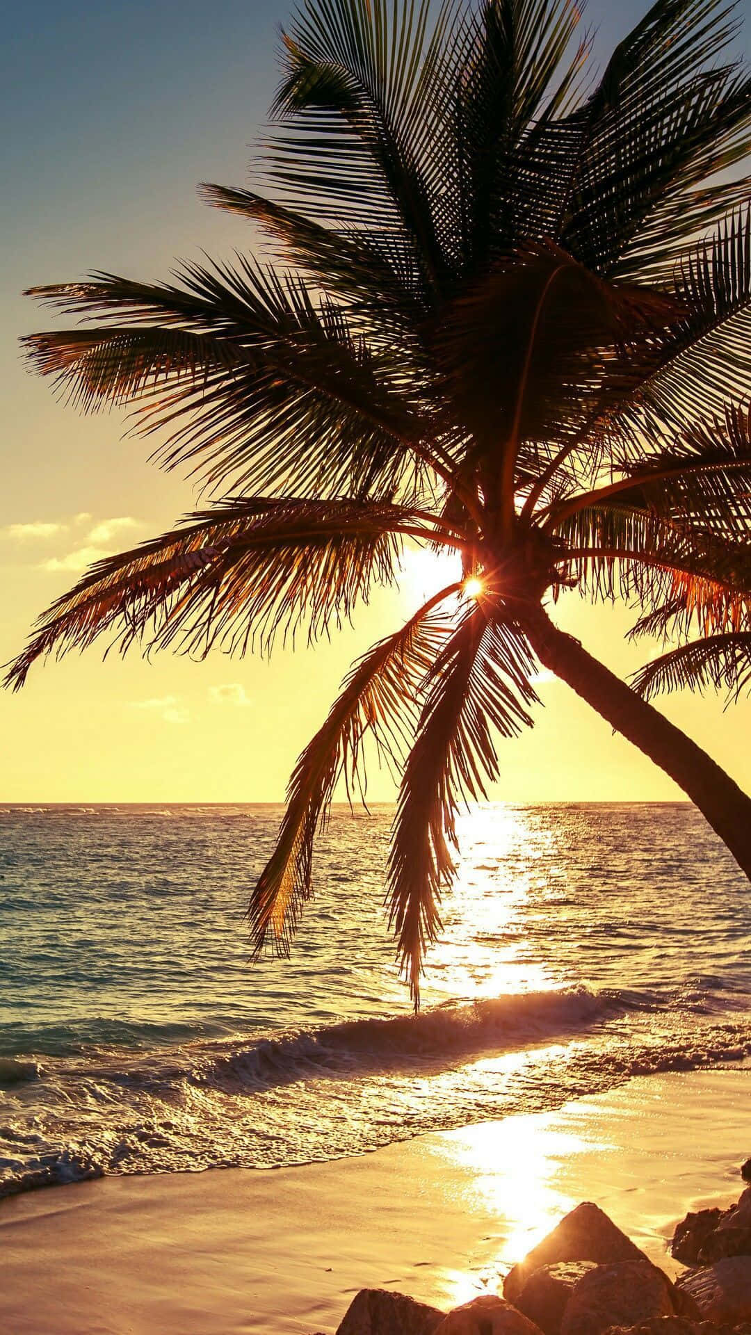 Yellow Beach 桌布 壁紙 — 一棵孤獨的棕櫚樹在平靜的海面上，金色夕陽映襯下形成剪影，溫柔的海浪輕吻著海岸。