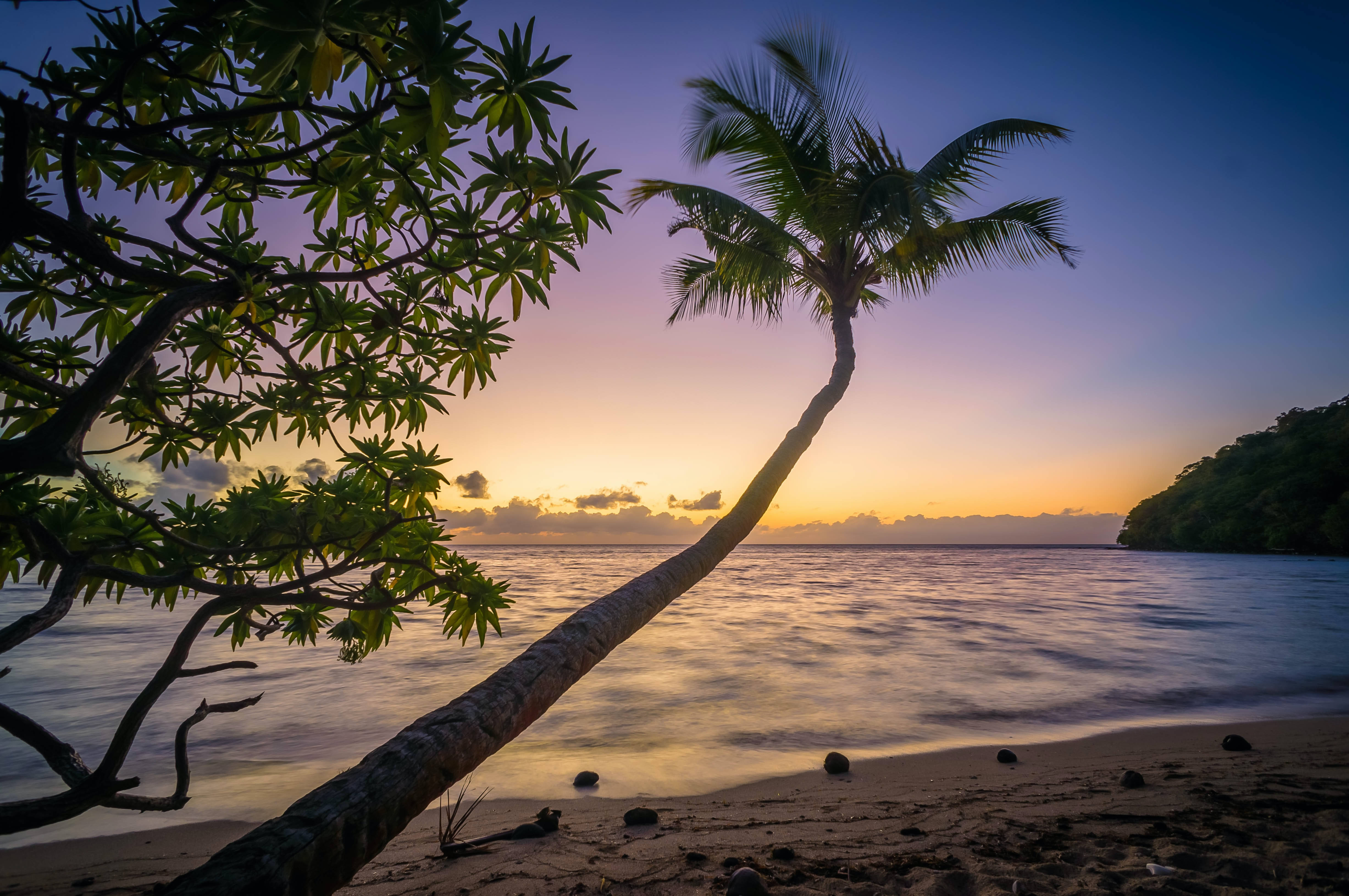 Fiji 桌布 壁紙 — 一棵孤獨的棕櫚樹在日落時分斜倚在寧靜的海灘上，充滿活力的紫色和橙色天空映照在平靜的水面上。