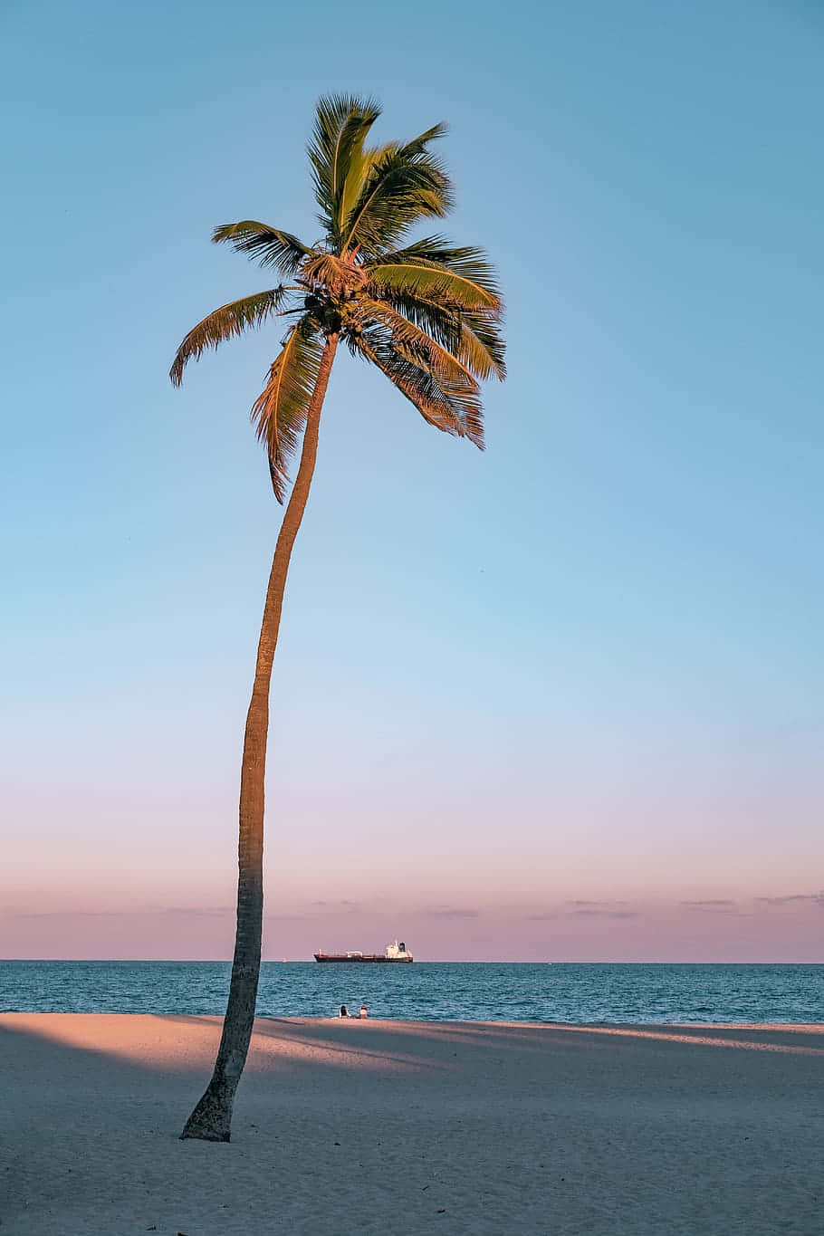 Minimalist Beach 桌布 壁紙 — 一棵孤獨的棕櫚樹在日落時分的沙灘上優雅地傾斜，遠處有一艘船在平靜的碧綠海水上。