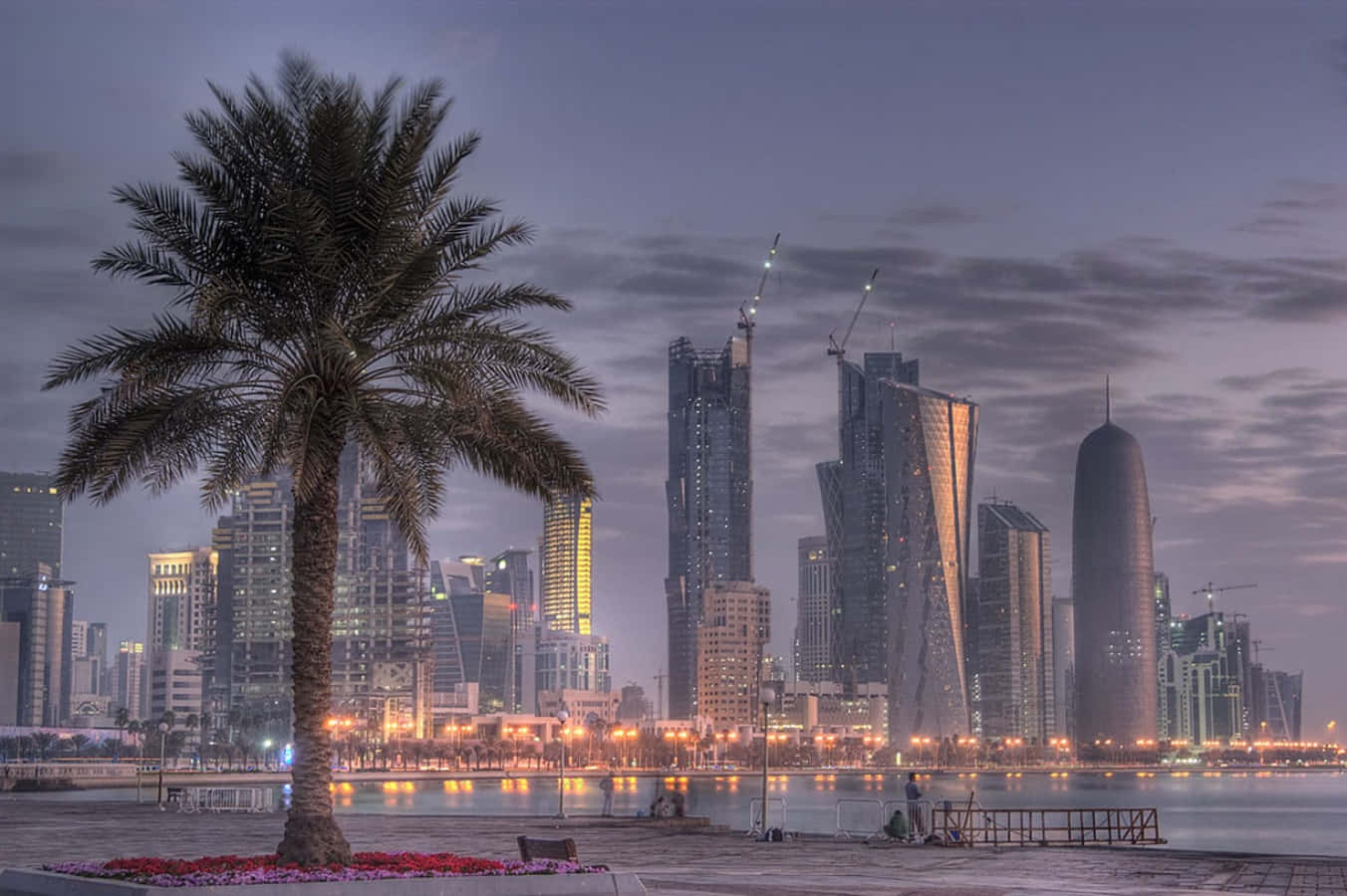 Qatar 桌布 壁紙 — 一棵孤獨的棕櫚樹在黃昏時分矗立在海濱，背後是燈火通明的現代摩天大樓。