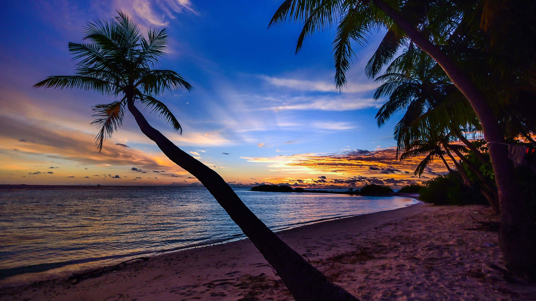Coconut Tree 桌布 壁紙 — 一棵孤獨的棕櫚樹斜倚在沙灘上，夕陽西下，鮮豔的橙色和藍色天空映照在平靜的海面上。