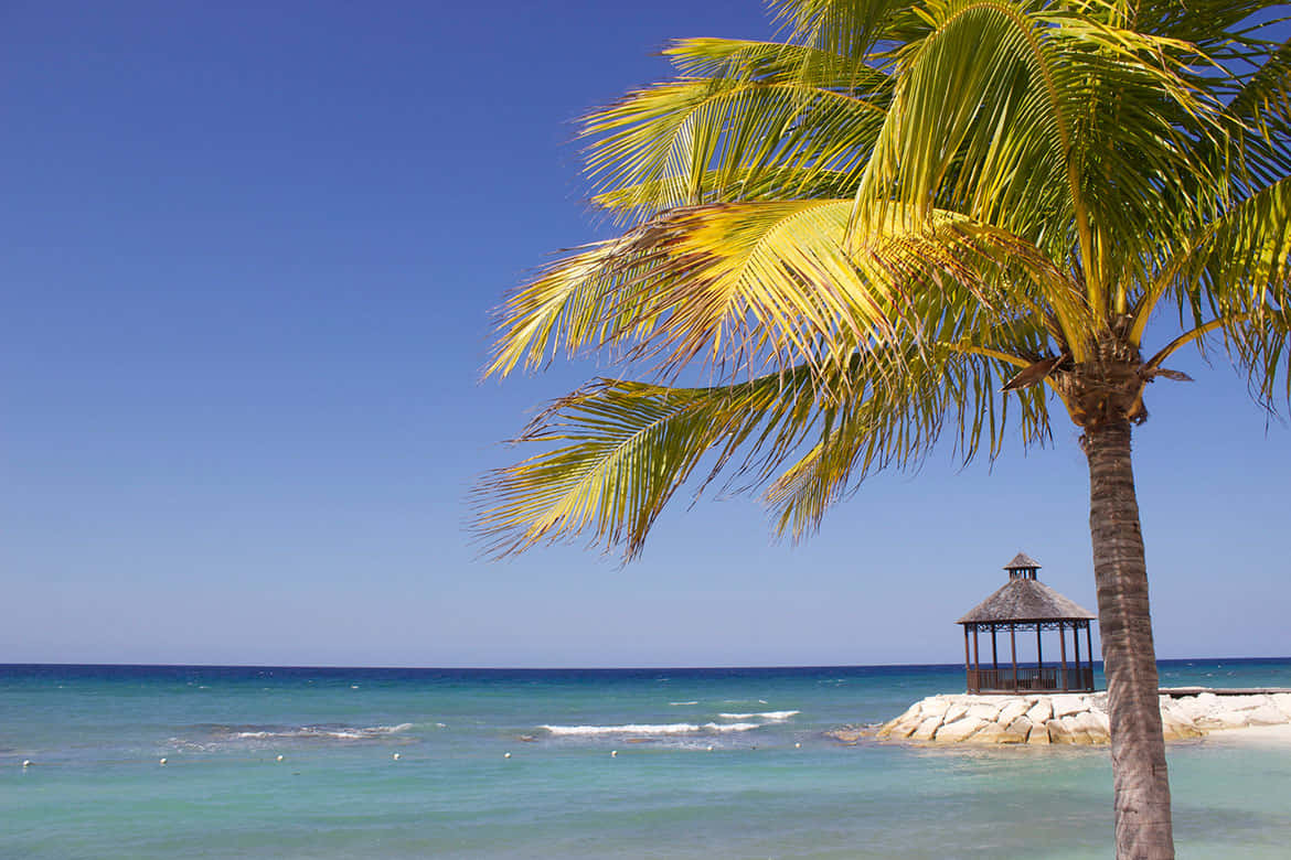 Jamaican Island 桌布 壁紙 — 一棵孤獨的棕櫚樹斜倚在碧綠的海水上，旁邊是石碼頭和茅草涼亭，天空湛藍清澈。