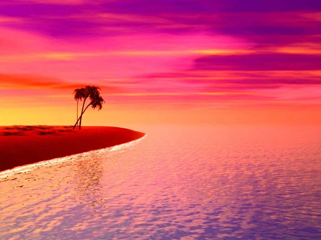 海灘日落 桌布 壁紙 — 一棵孤獨的棕櫚樹矗立在彎曲的紅色海岸上，映照在平靜水面上的是充滿活力的粉橙色日落天空。