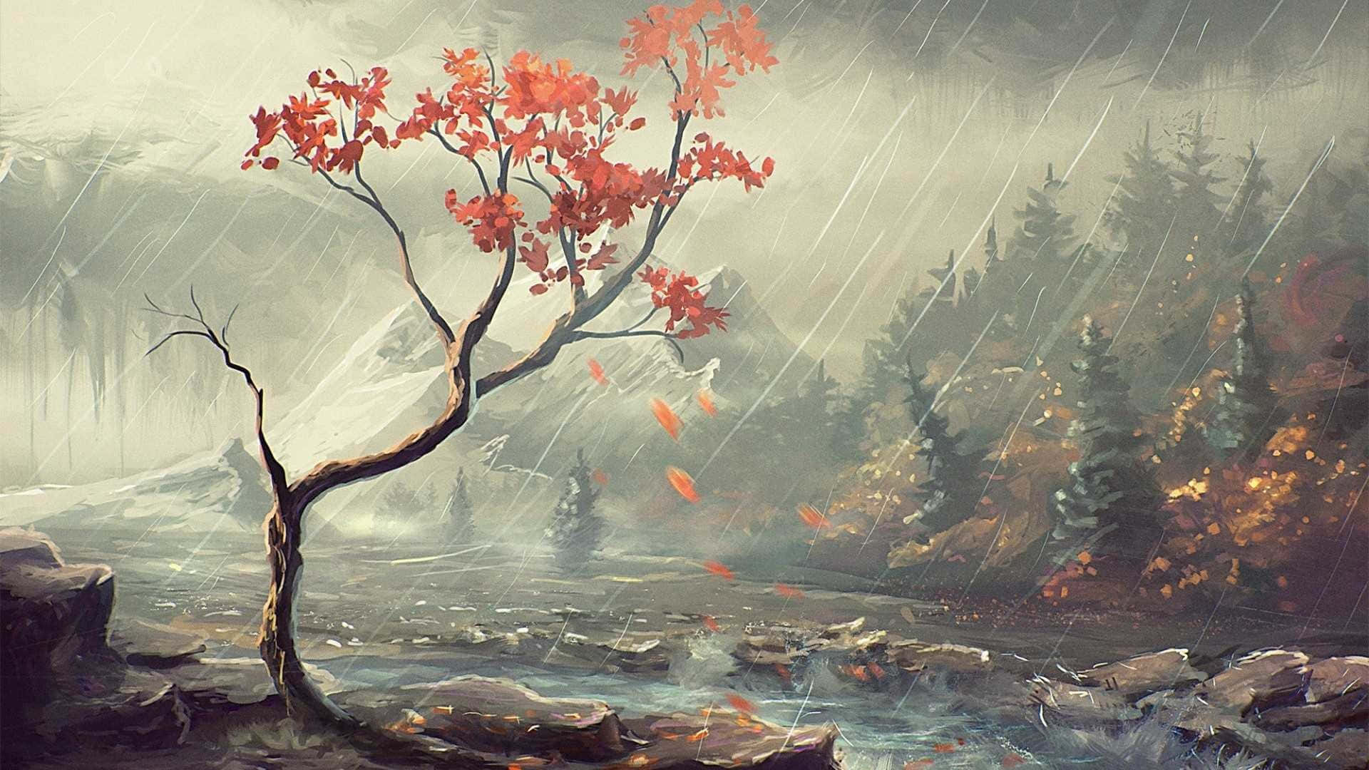 Visual Art 桌布 壁紙 — 一棵孤獨的樹，帶有火紅的葉子，在雨中的山間溪流中堅韌地站立，周圍是霧氣繚繞的常青樹。