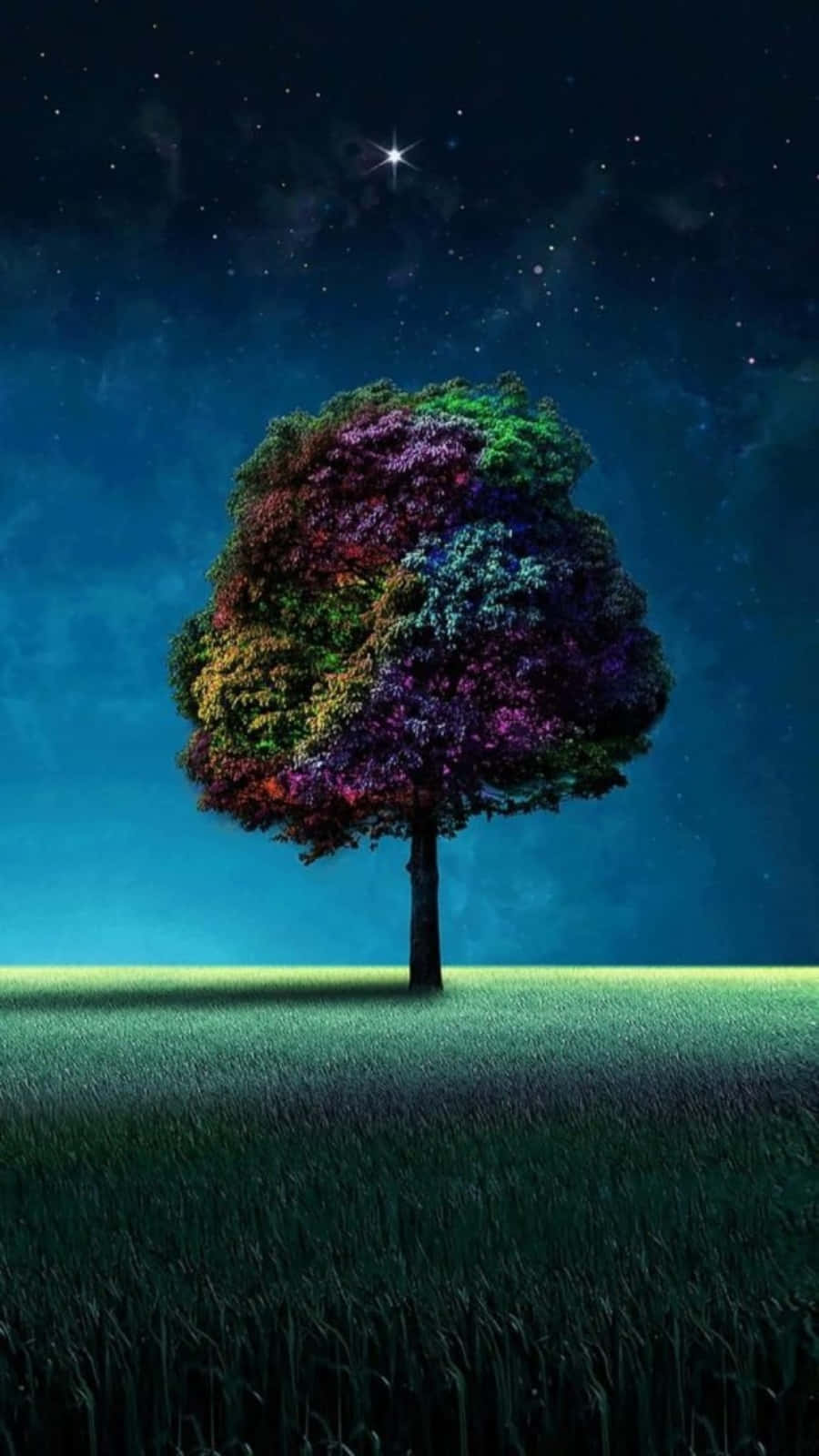 主螢幕 桌布 壁紙 — 一棵孤獨的樹，樹葉呈彩虹色，矗立在星空下的草地上方，有一顆明亮的星星。