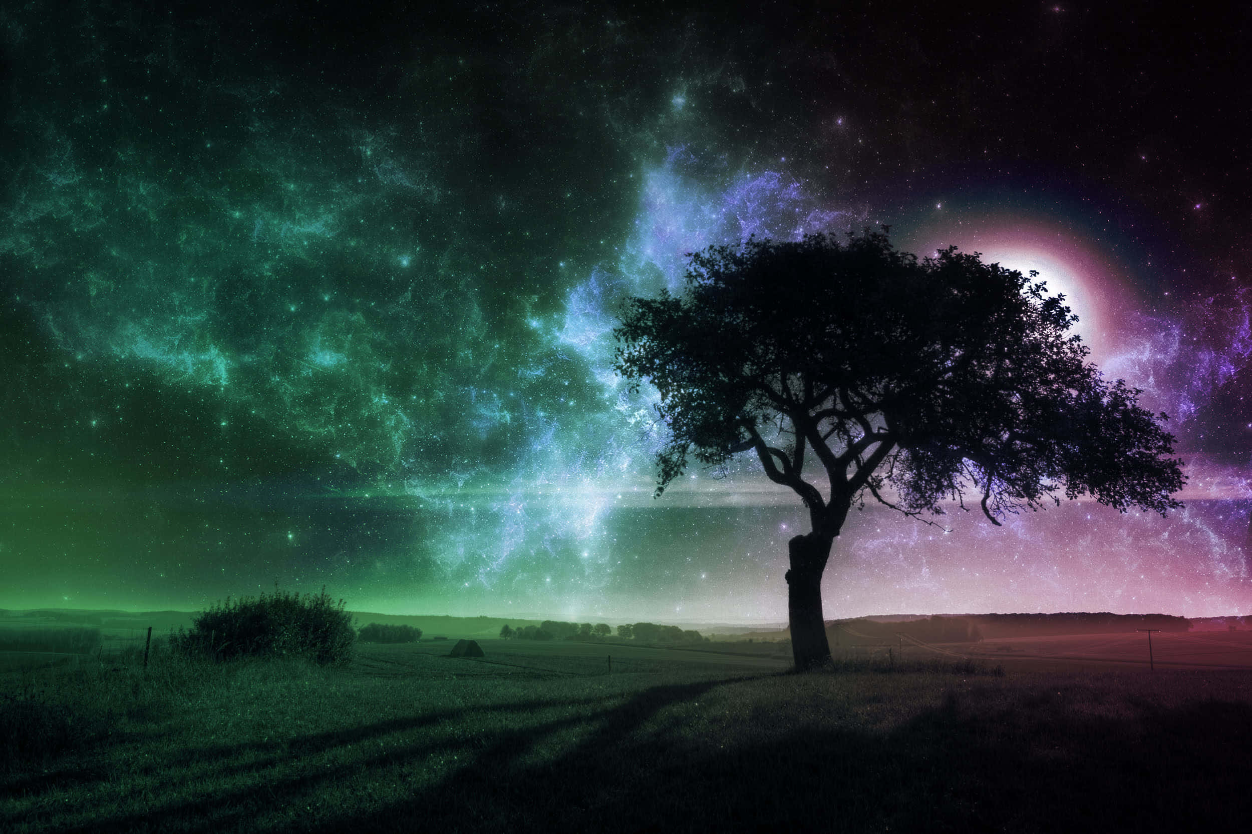 dreamy 桌布 壁紙 — 一棵孤獨的樹在充滿綠色和紫色星雲及星星的充滿活力的宇宙天空襯托下，呈現出剪影。