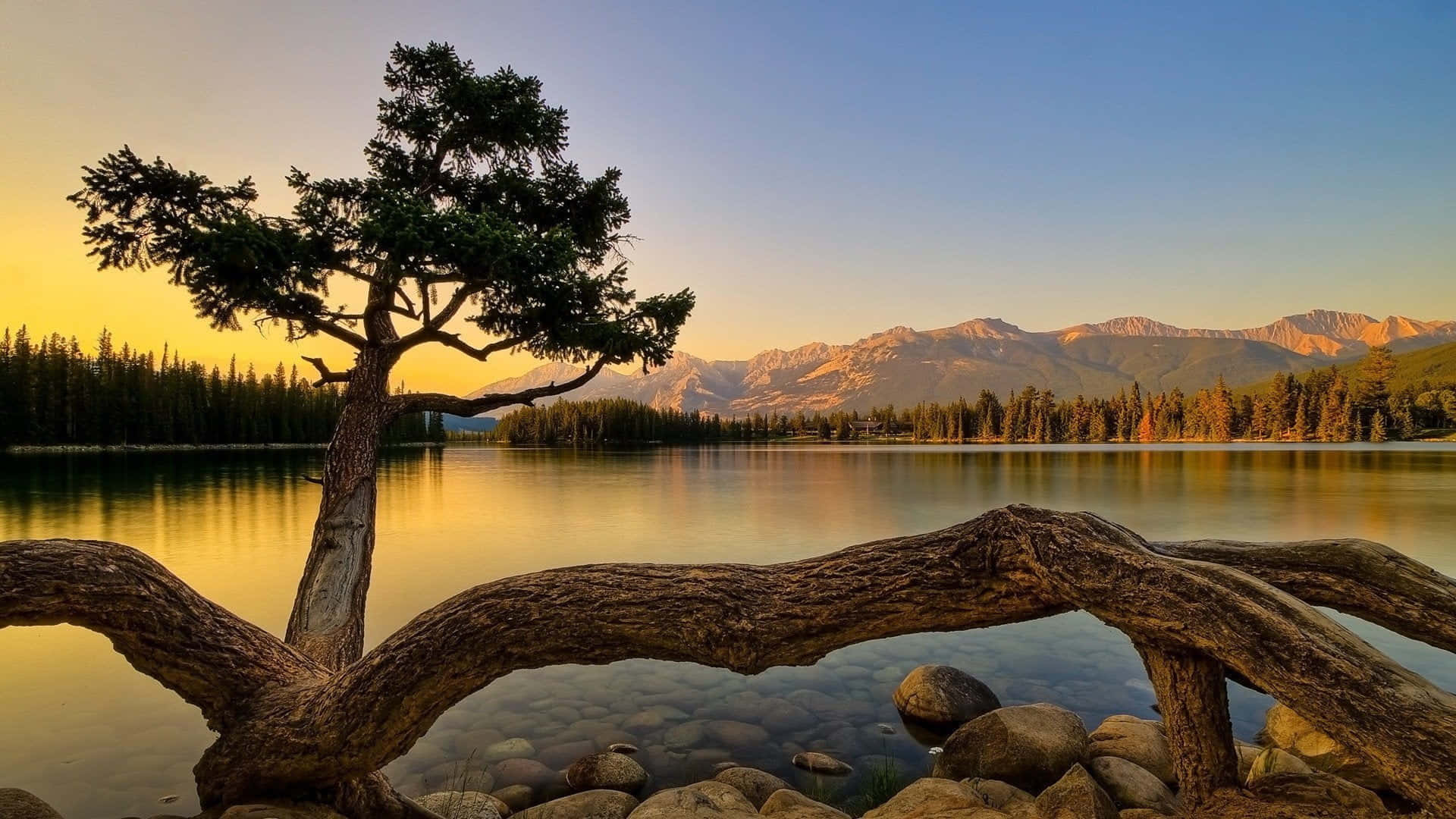 Awe-inspiring 桌布 壁紙 — 一棵孤獨的樹在日落時分矗立在平靜的湖邊，背景是山脈，前景是一根倒下的圓木。