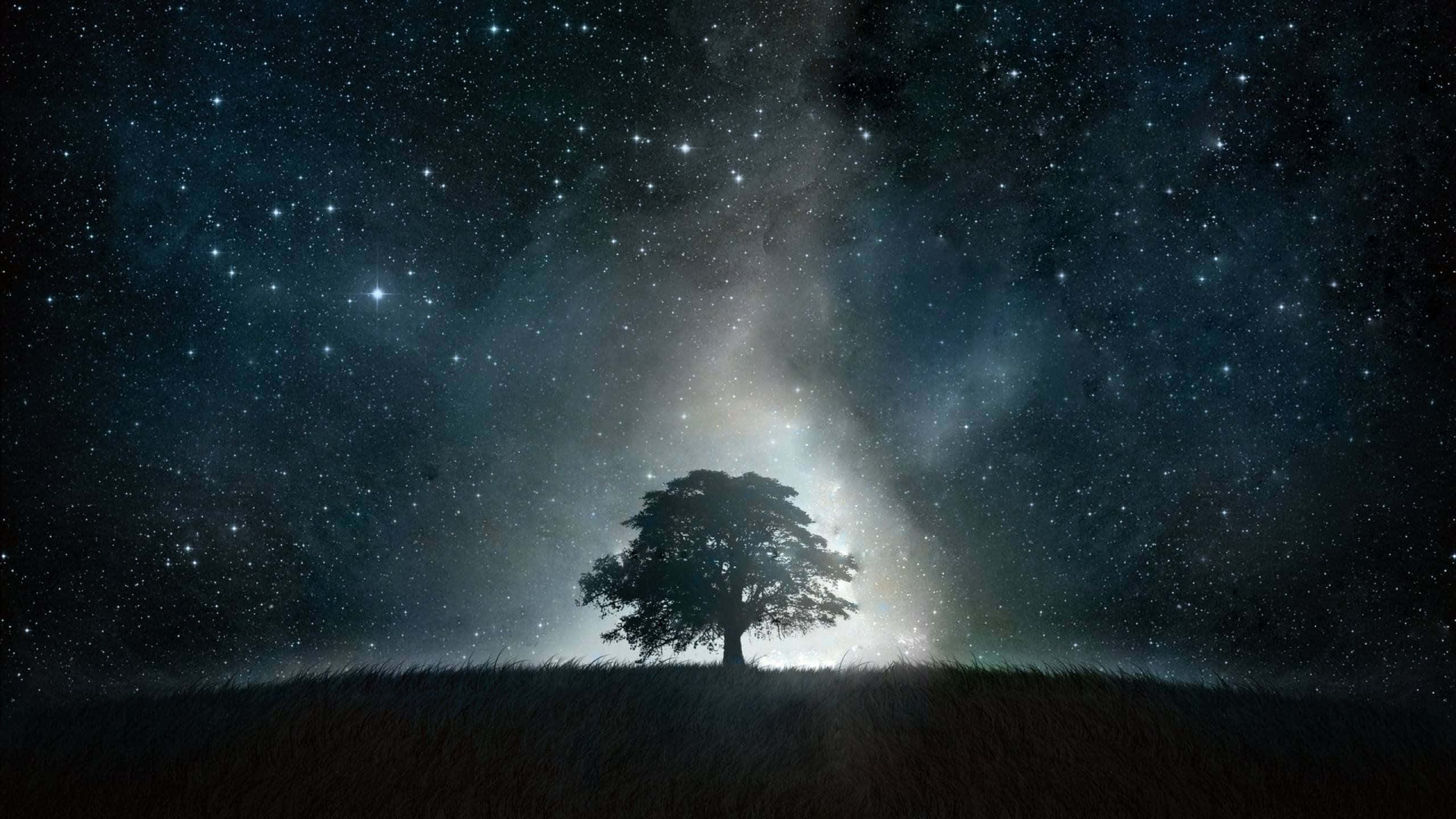 Black Galaxy 桌布 壁紙 — 一棵孤獨的樹在長滿草的山丘上形成剪影，下方是令人嘆為觀止的星空，充滿了宇宙塵埃和發光的星雲。