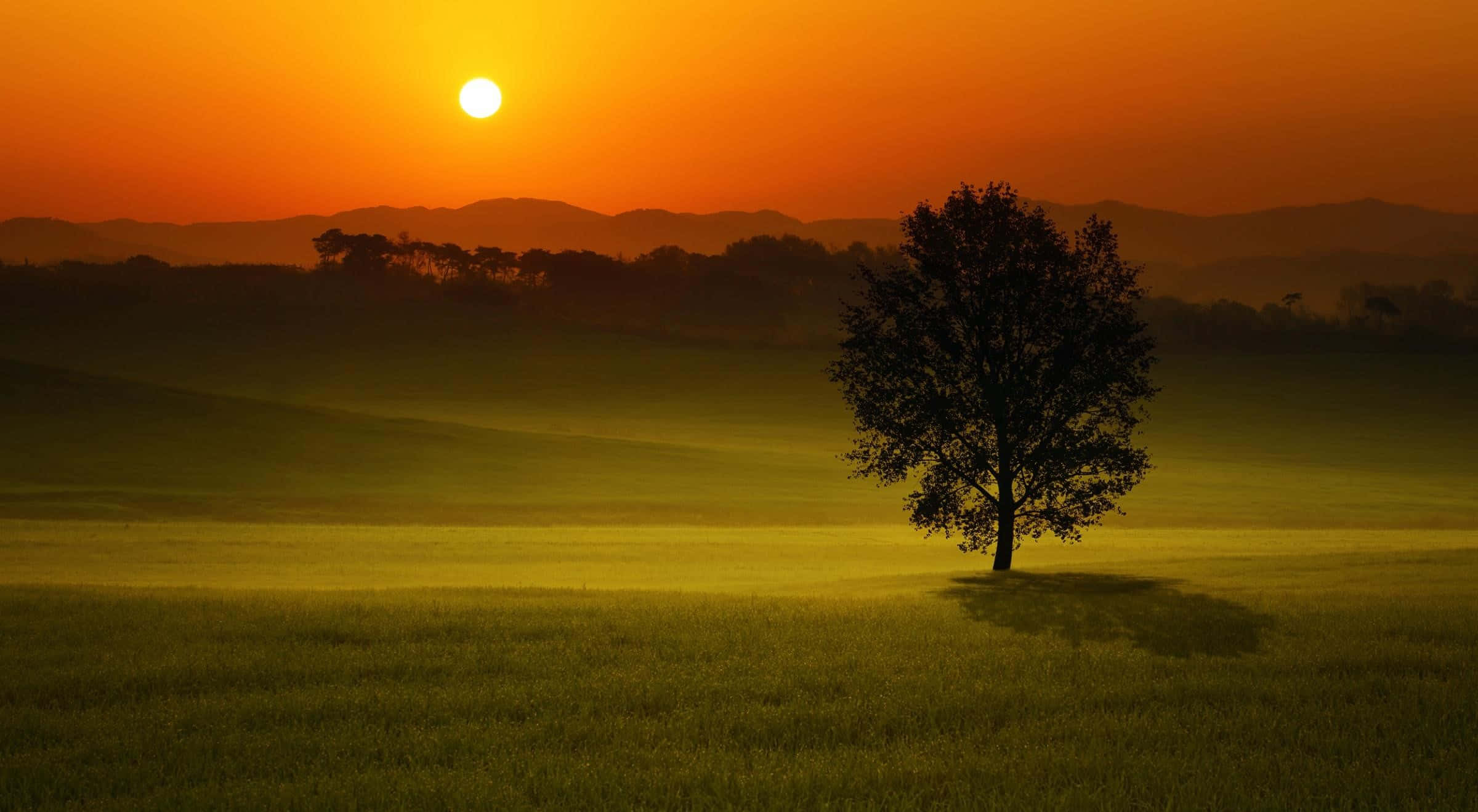 Sunset Landscape 桌布 壁紙 — 一棵孤獨的樹在霧氣瀰漫的田野中呈現剪影，太陽在遠山上升起，灑下溫暖的金色光芒。