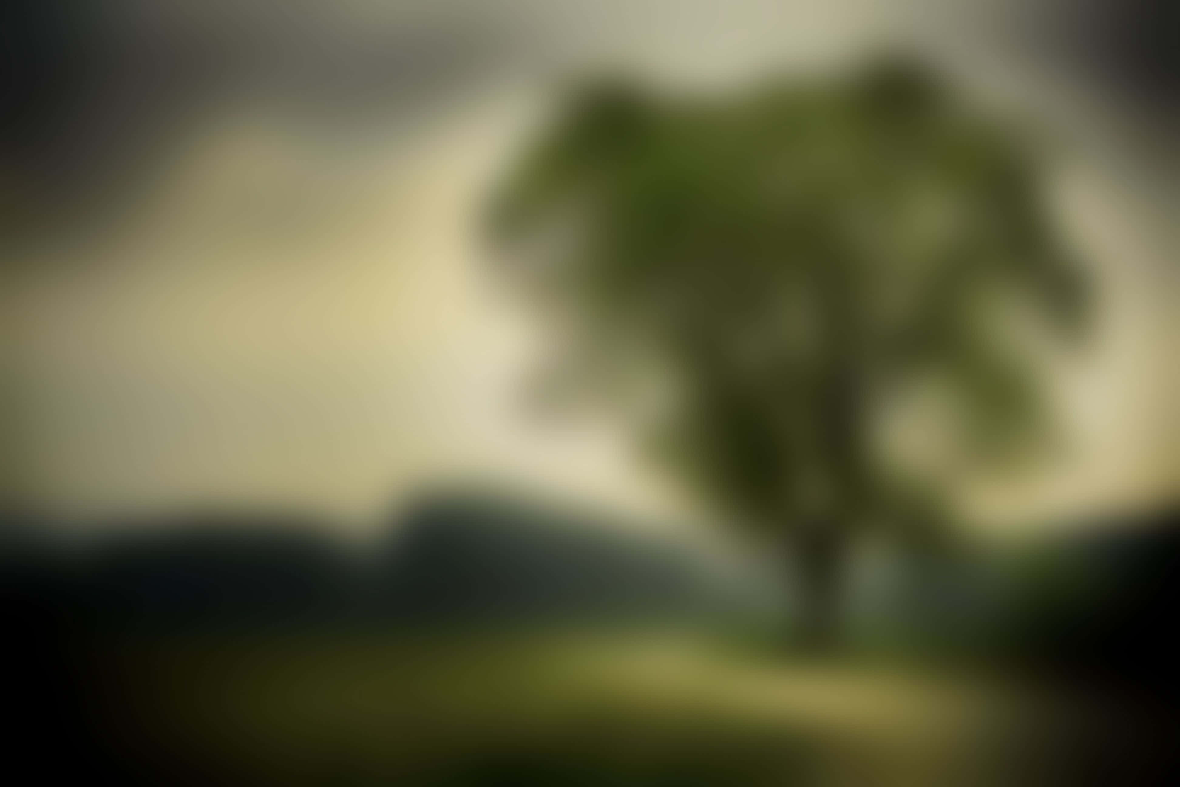 Nature Blur 桌布 壁紙 — 一棵孤獨的樹矗立在模糊的田野上，天空陰沉多雲，帶有柔和的大地色調。