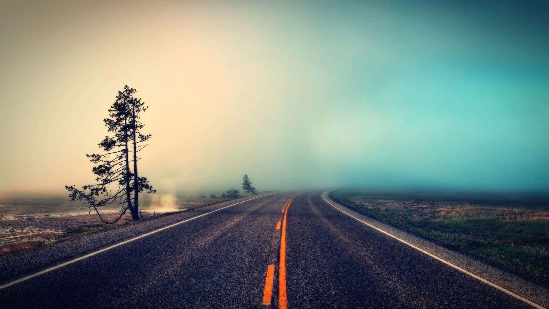 Twitter Header 桌布 壁紙 — 一棵孤獨的樹矗立在霧氣瀰漫的道路旁，道路延伸至朦朧的藍黃色天空。