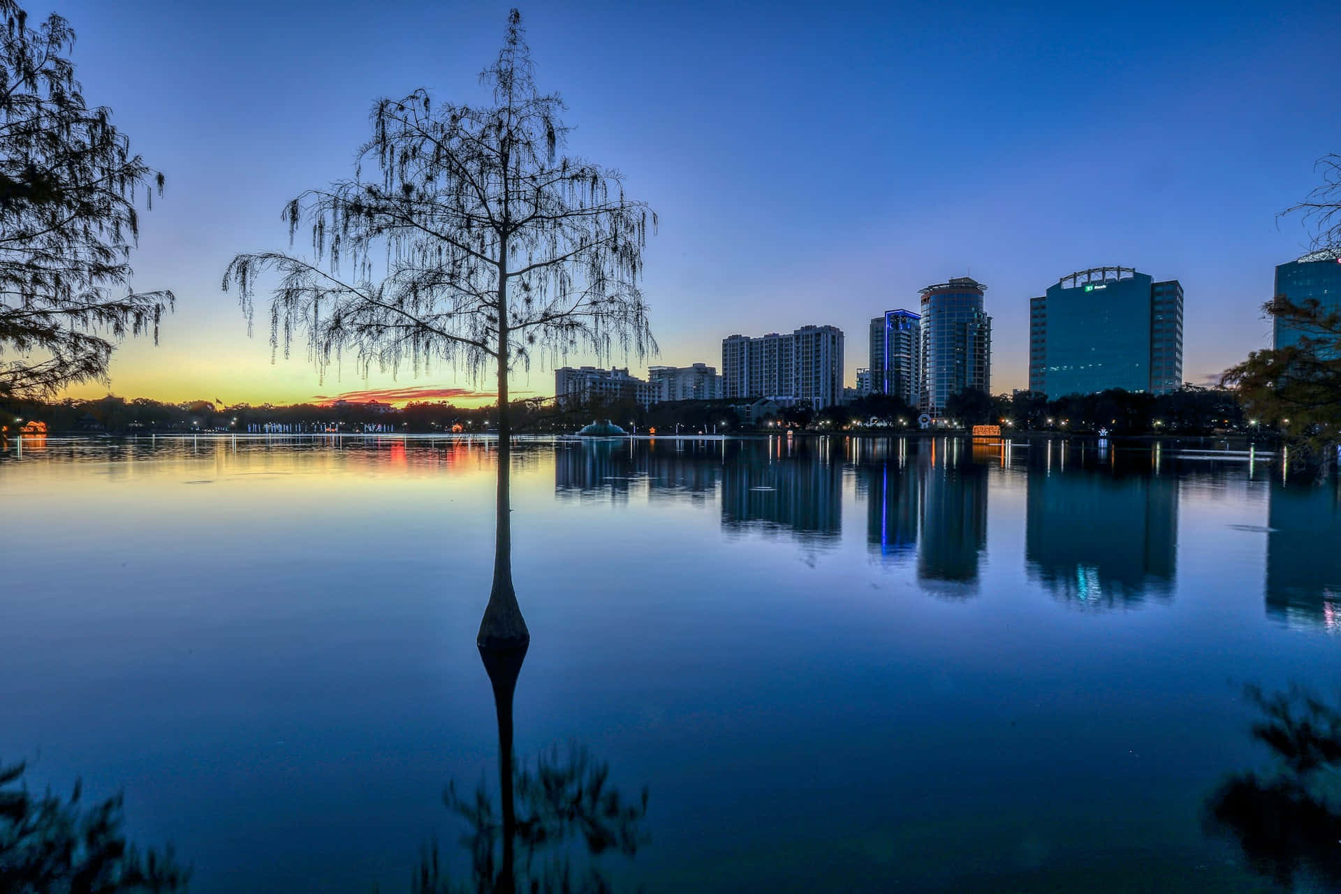 Orlando 桌布 壁紙 — 一棵孤獨的樹立在平靜的水面上，倒映著暮色中的城市天際線，溫暖的日落色調與冷藍色調交融。