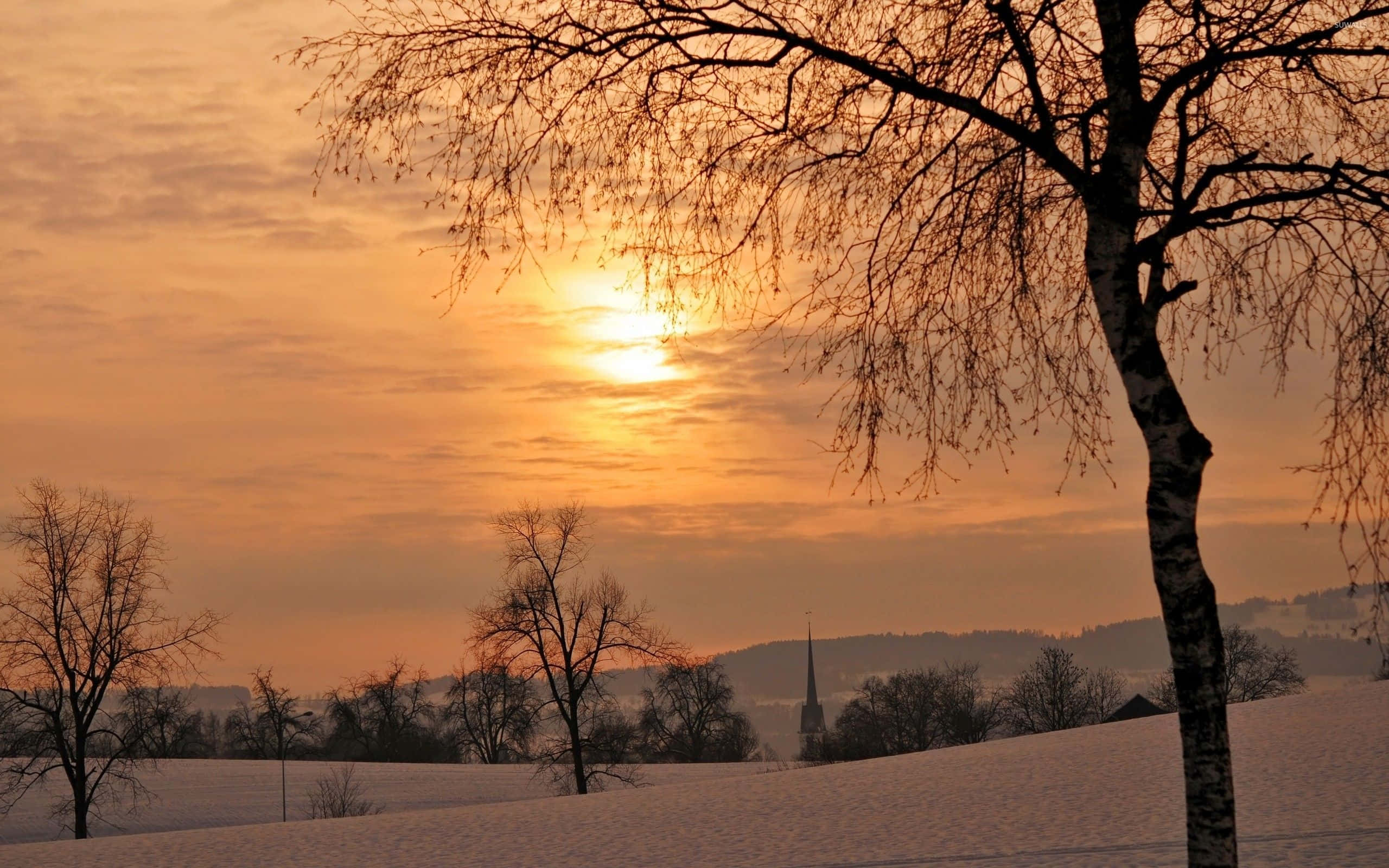 Winter Sunset 桌布 壁紙 — 一棵孤獨的白樺樹矗立在積雪覆蓋的田野上，夕陽在遠山後落下，投射出溫暖的橙色光芒。