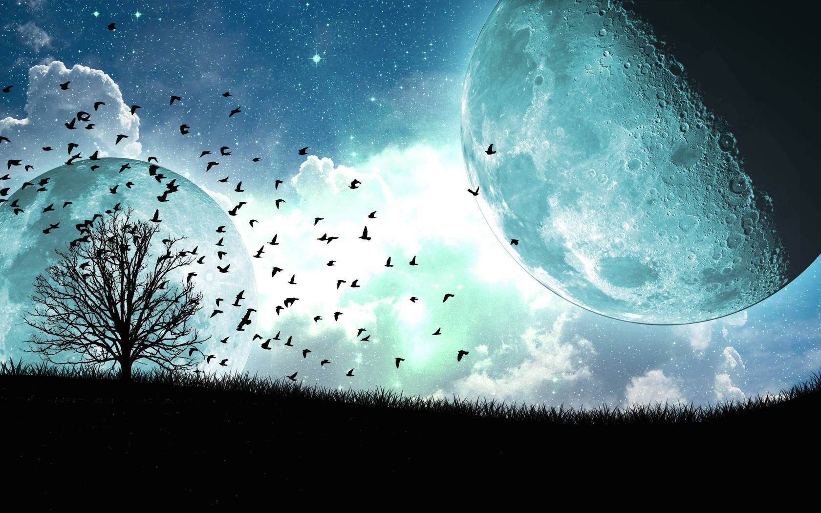 Moon Night Sky 桌布 壁紙 — 一棵孤獨的禿樹立在草地上，星空下有兩個巨大的月亮，鳥兒在它們之間飛翔。