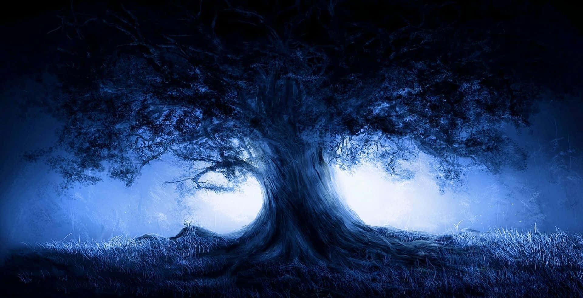 Dark Nature 桌布 壁紙 — 一棵巨大的多節樹，樹枝後發出藍色光芒，矗立在黑暗天空下的霧濛濛田野中。