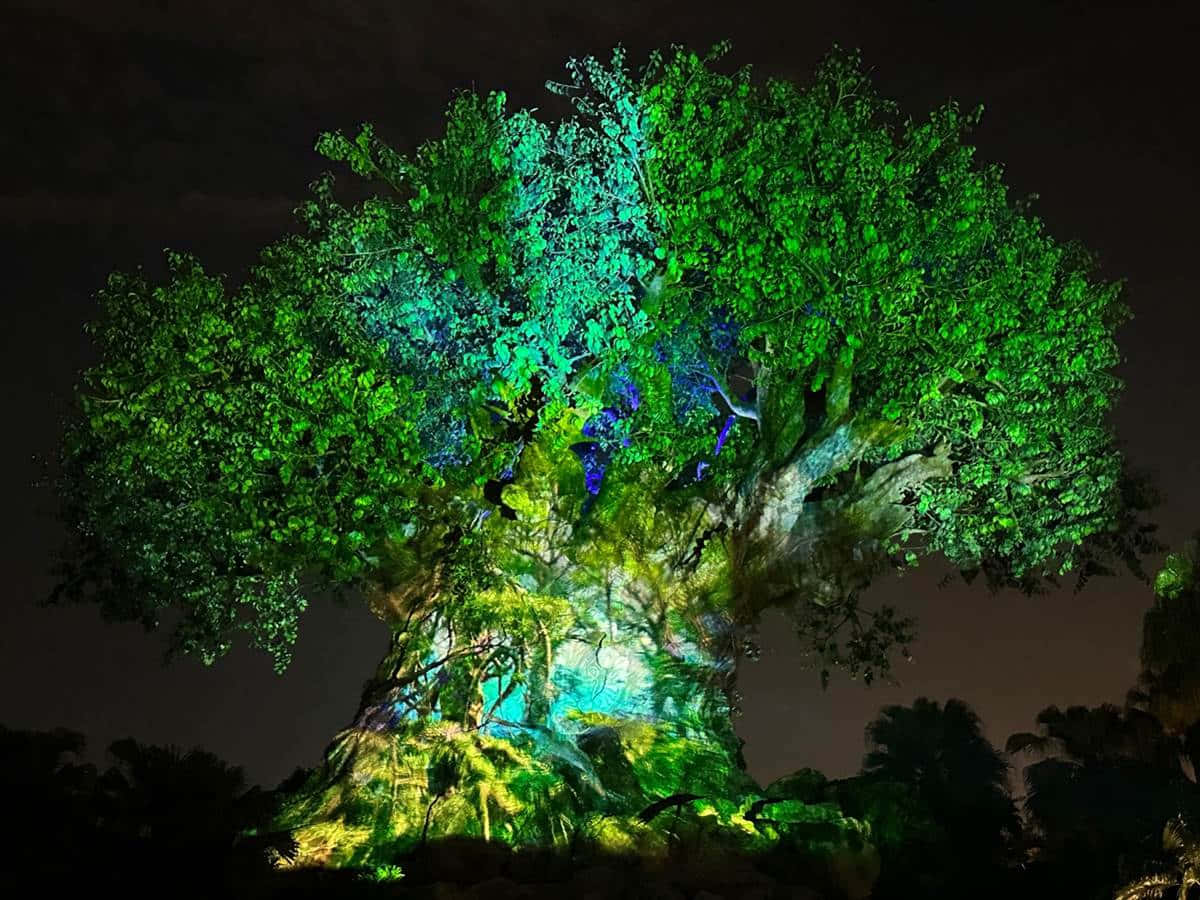 生命樹 桌布 壁紙 — 一棵巨大的樹在黑暗的夜空中被鮮豔的綠色和藍色燈光照亮。